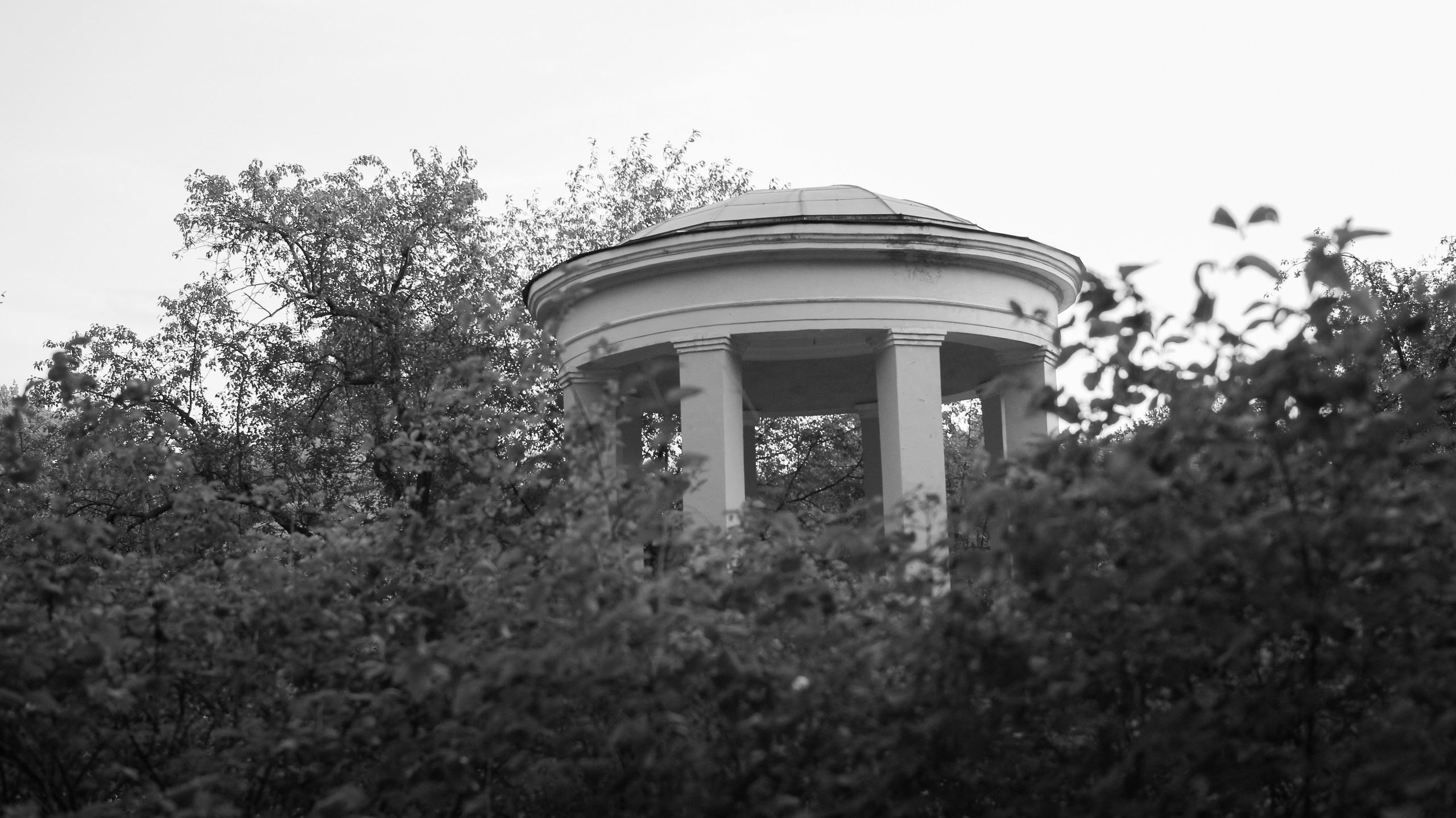 Осень. Портретный фотограф DanilNabody