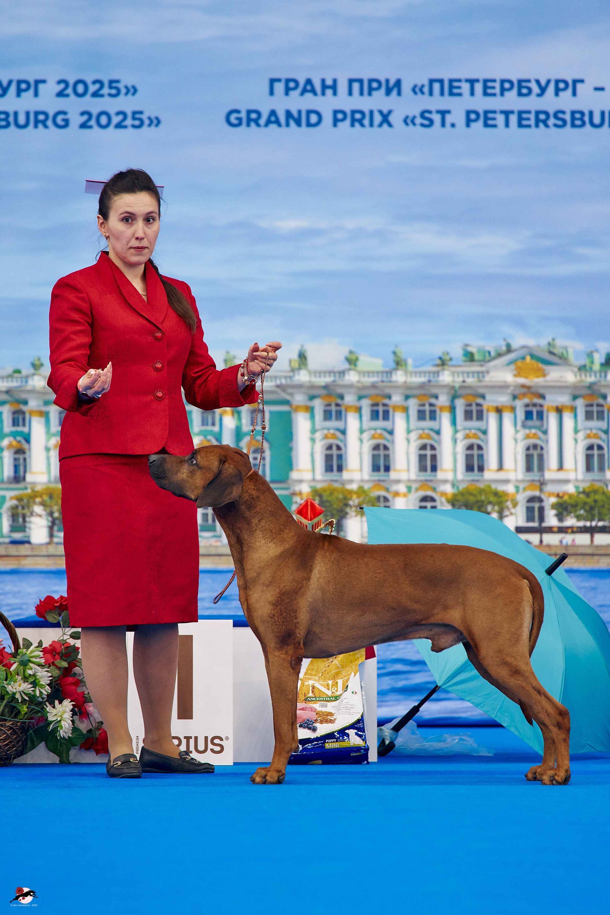 27.04.2025 | "Петербург-Элита 2025" & «КУБОК «ЭЛИТЫ»-2025»