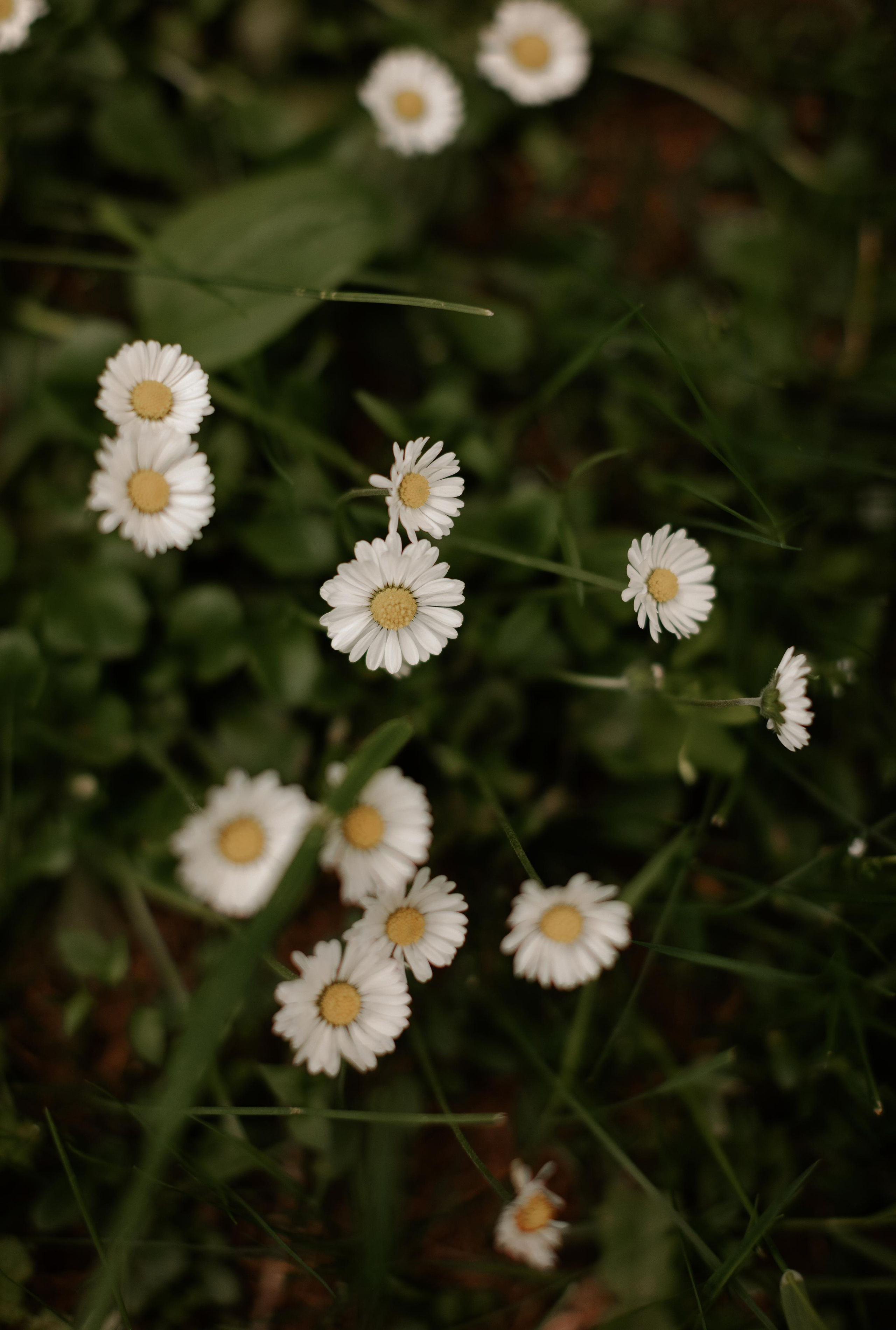 Сергей и Татьяна. Свадебный и семейный фотограф в Москве