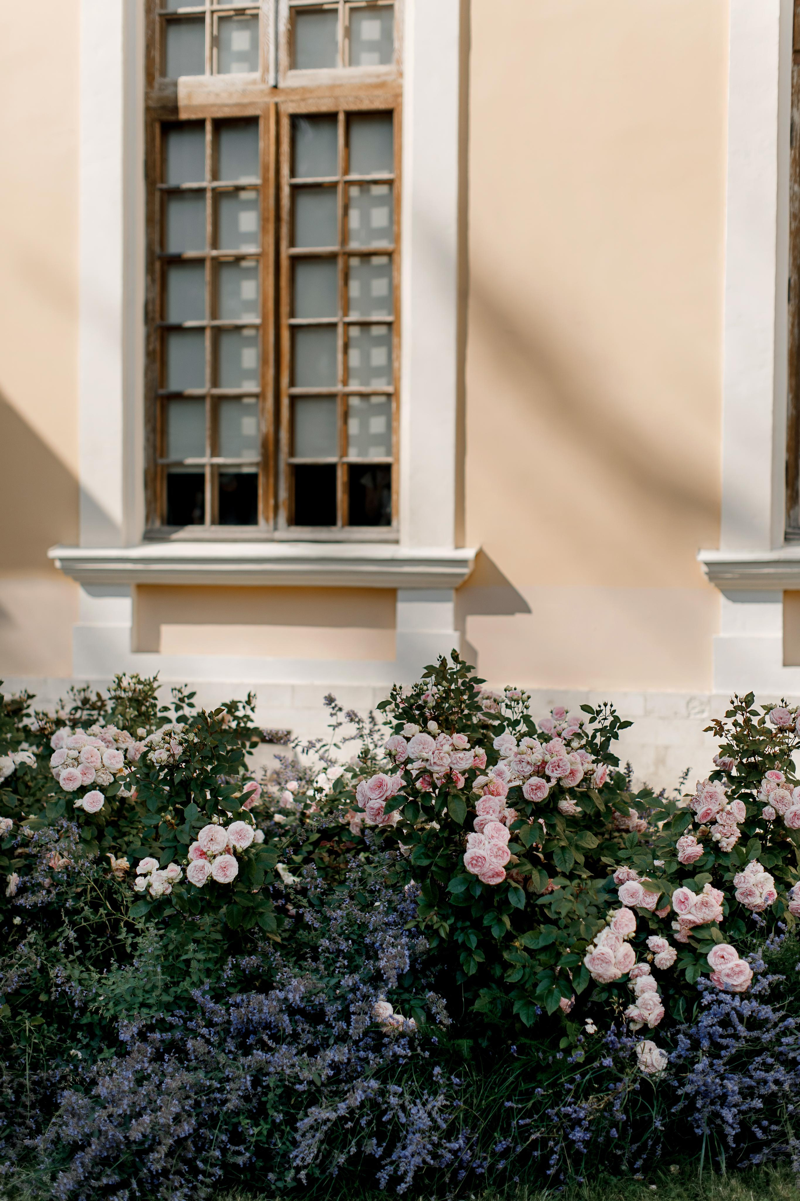 Илья и Мария. Свадебный и семейный фотограф в Москве