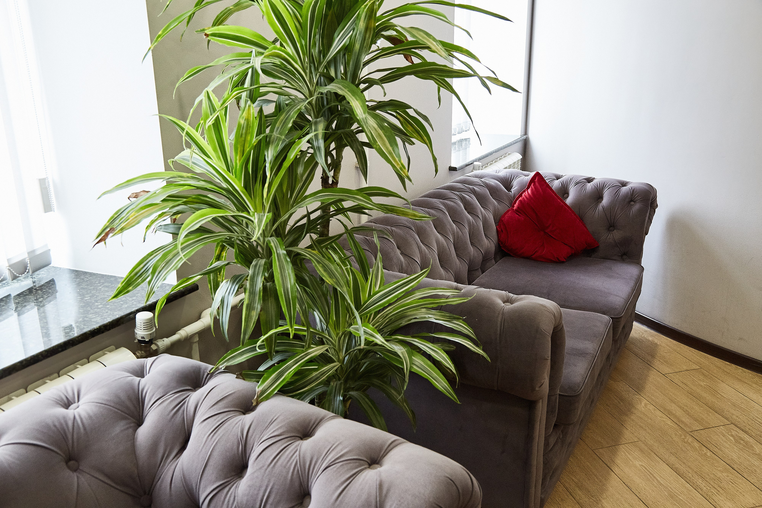 Студия удаления тату A7STUDIO. Фотограф Анастасия Леонтьева Санкт-Петербург