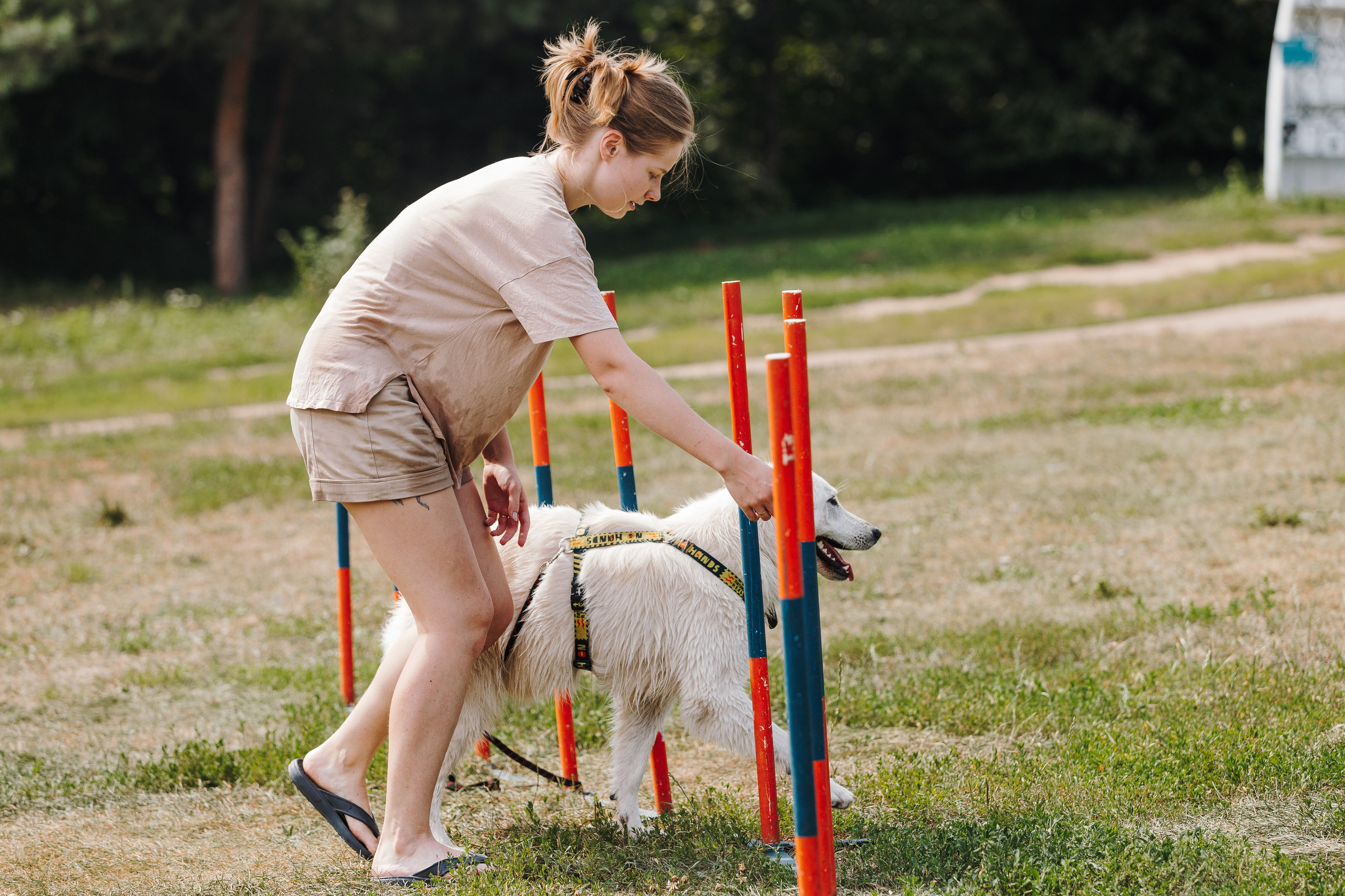 Petshop Sup day. Фотограф анималист Кристина Карпова, Москва