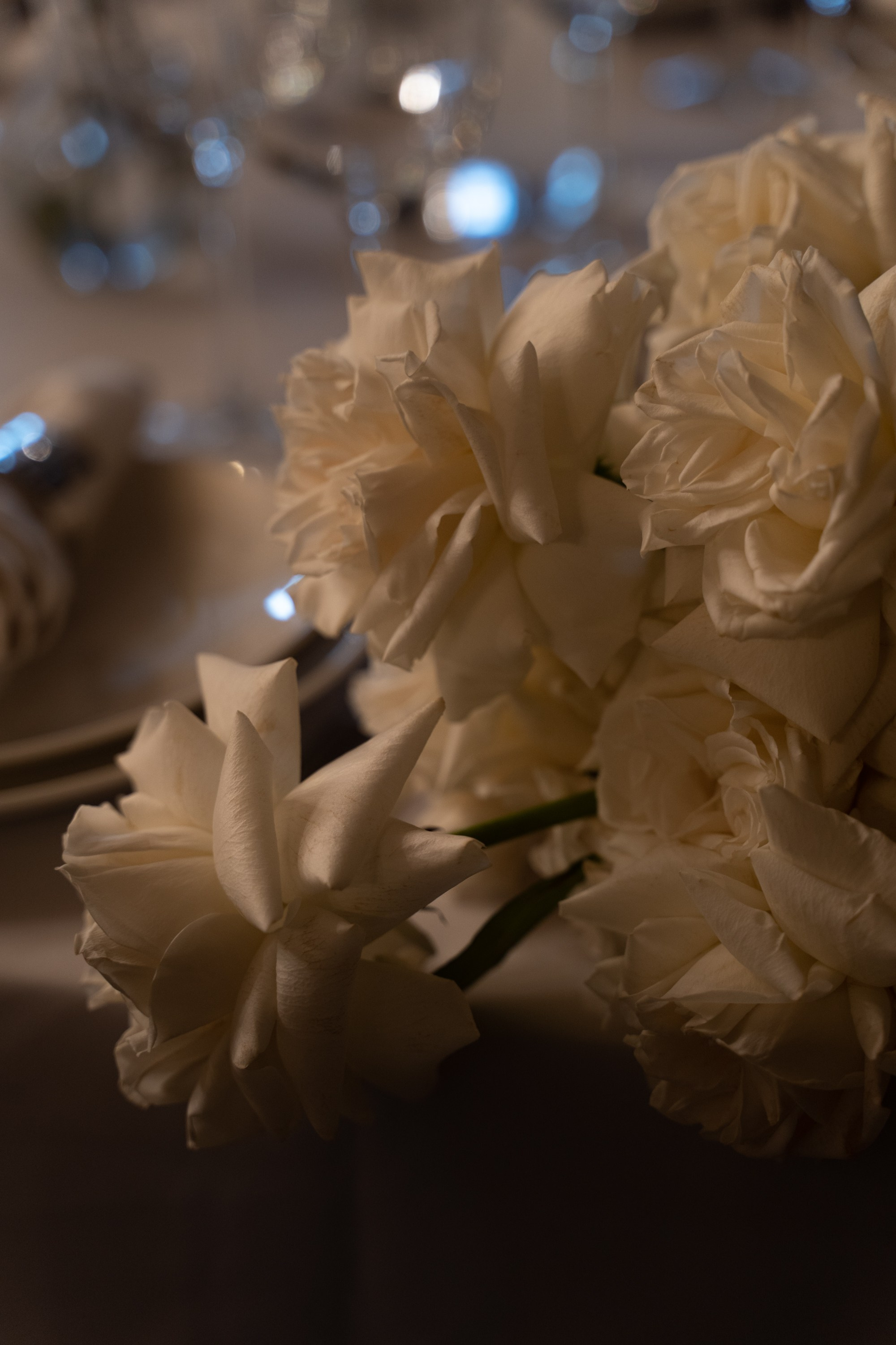 Yana&Viktor. Портретный фотограф в Краснодаре Валерия Матирная