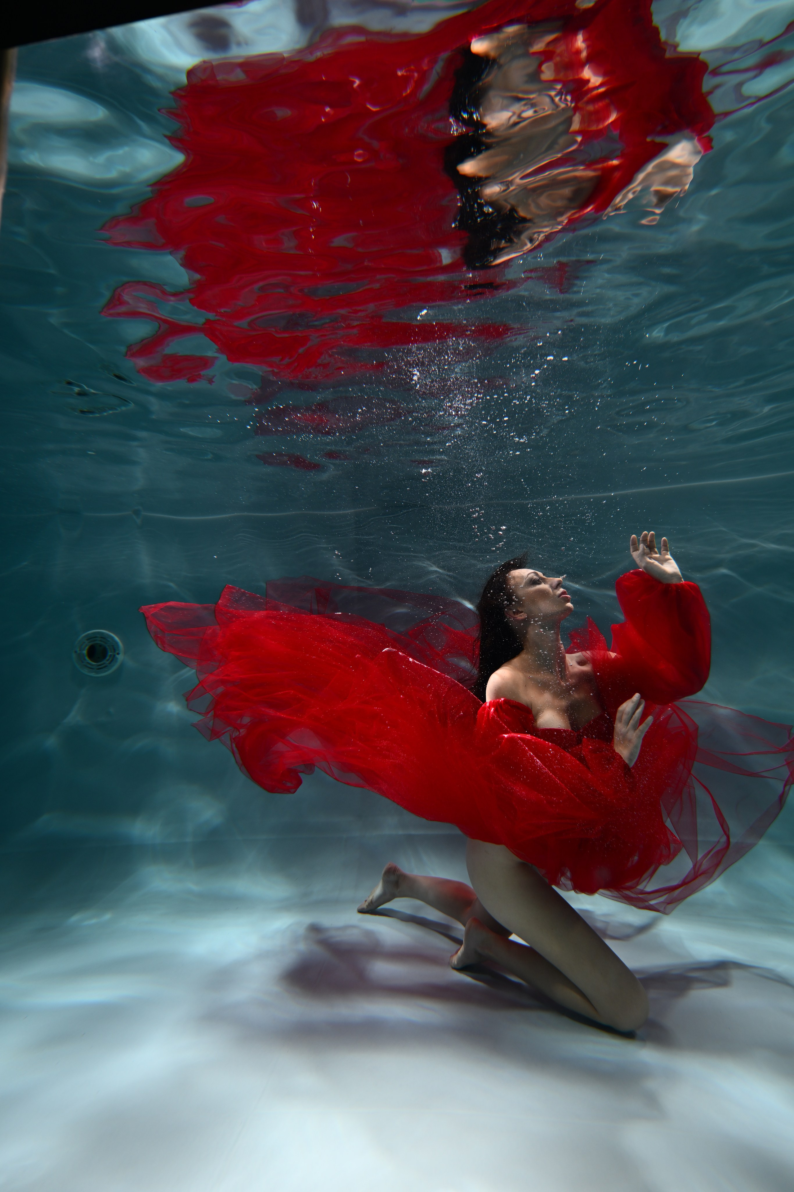 Аква студия НЕМО. Фотограф в Санкт-Петербурге Сафронов Николай