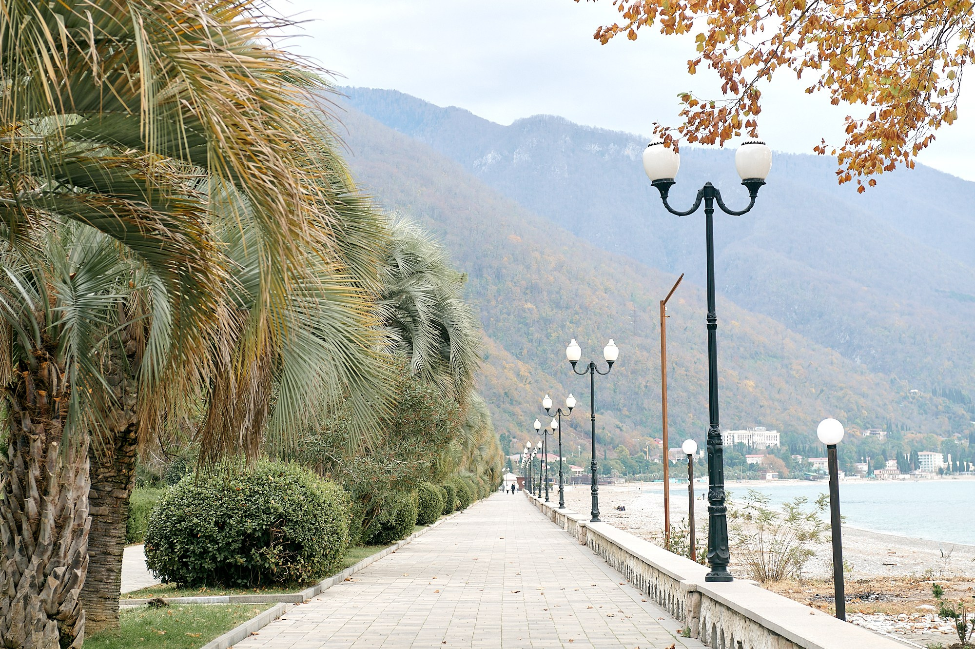 Гагра, Абхазия. Декабрь 2024. Фотографии отовсюду и обо всем