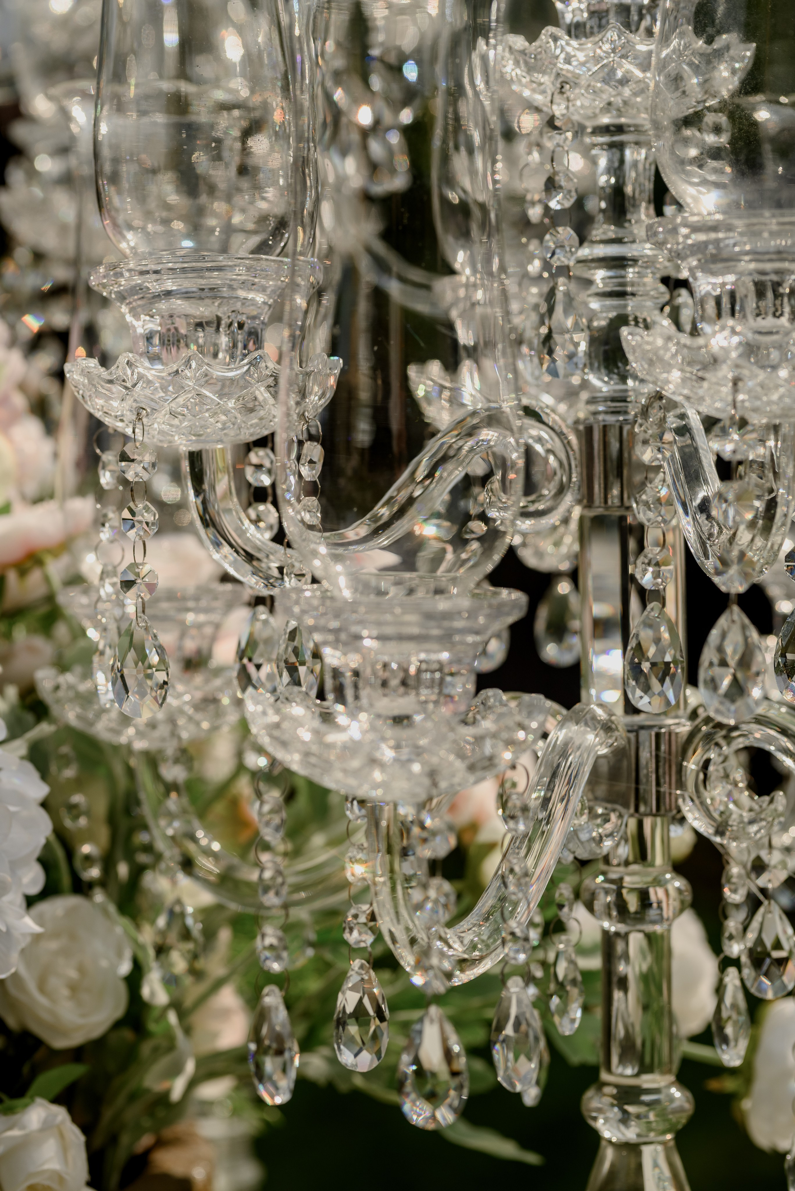 Фотограф Анна Абрикосова