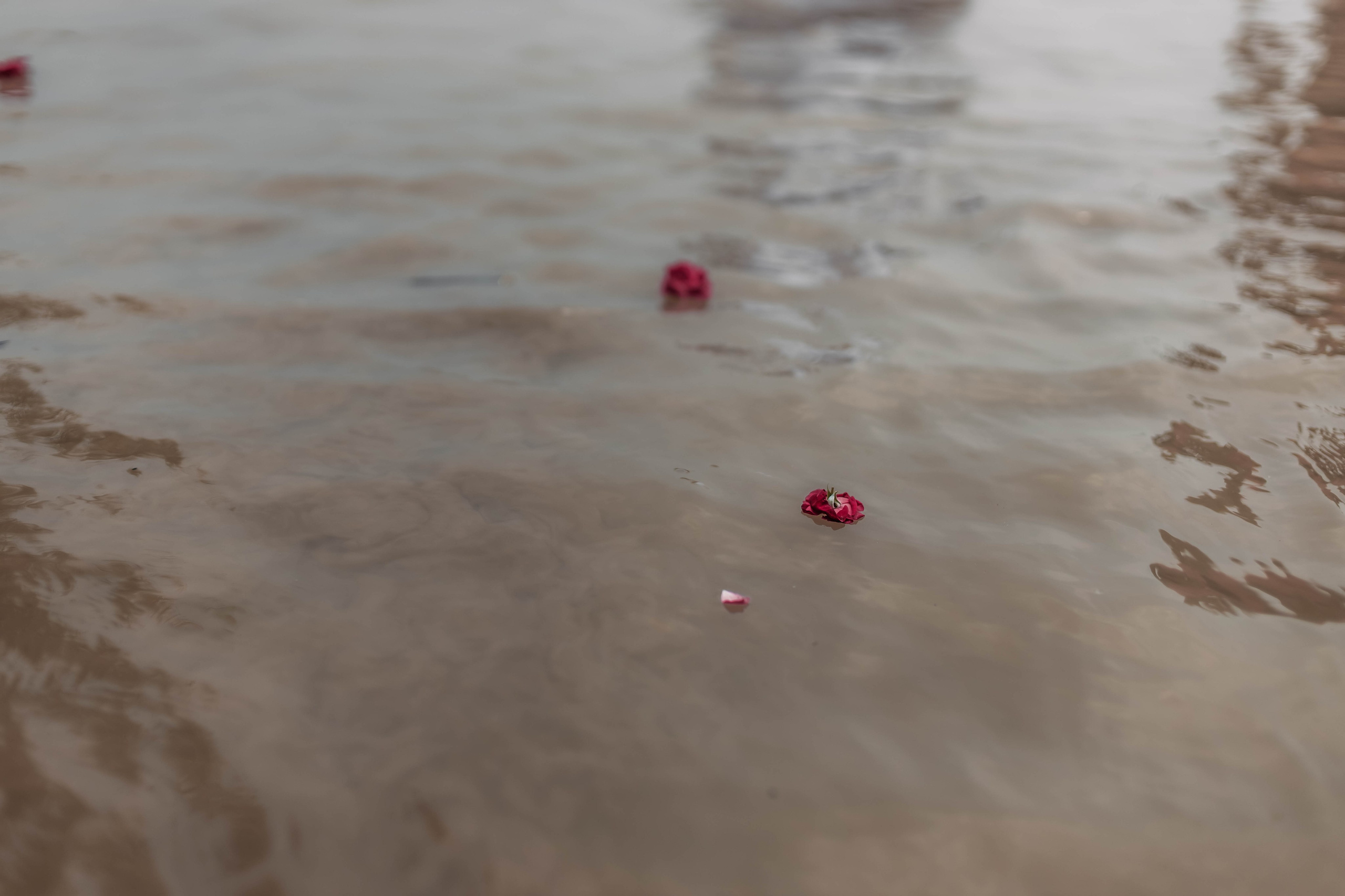 Pitri Paksha yagyas & poojas Devraha Baba ji ashram. Mariam Bagdasaryan