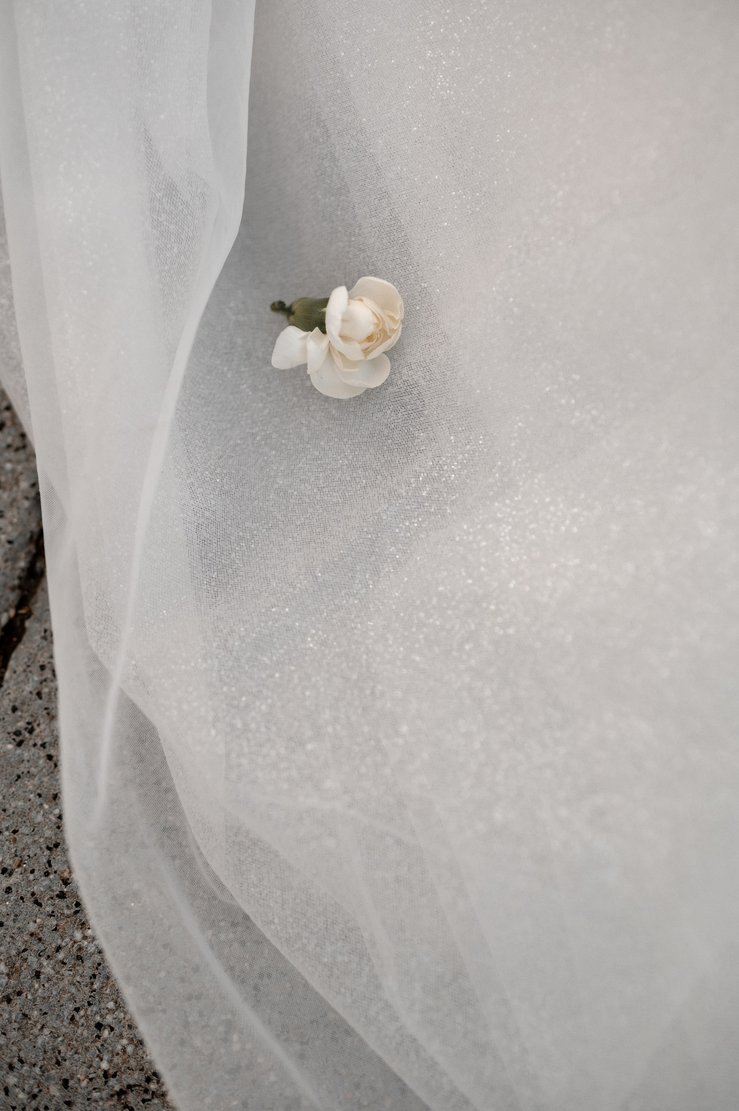 Дмитрий и Елизавета. Свадебный и семейный фотограф в Серпухове Александра Дерюшева