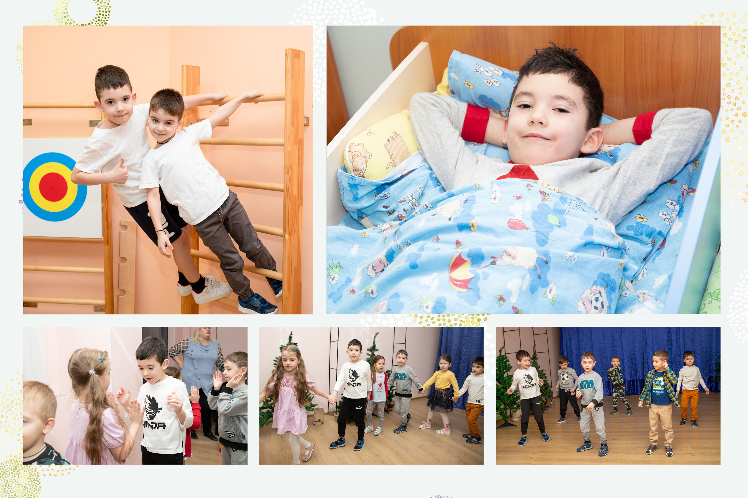 Толстые котики. Фотограф в Санкт-Петербурге Наталья Брилькова