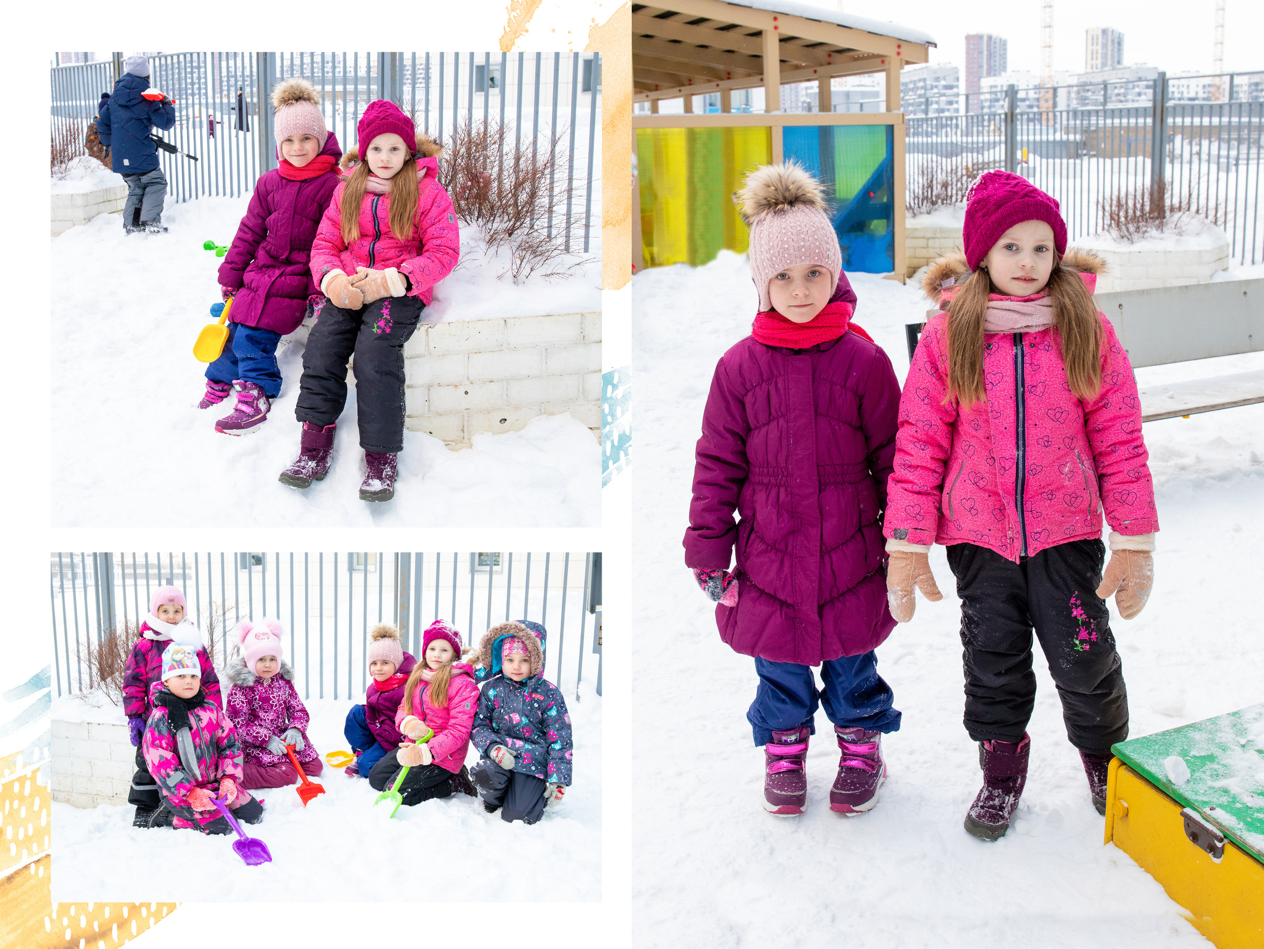 Коты. Фотограф в Санкт-Петербурге Наталья Брилькова