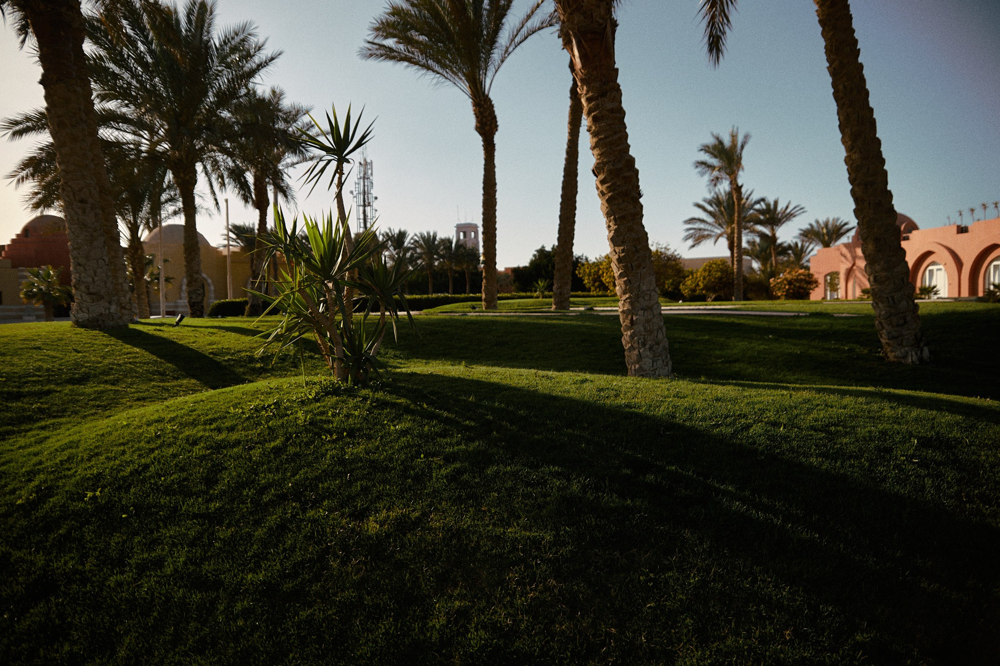 Улица горизонтальная. Jorgis — фотограф в Хургаде / обучение фотографии