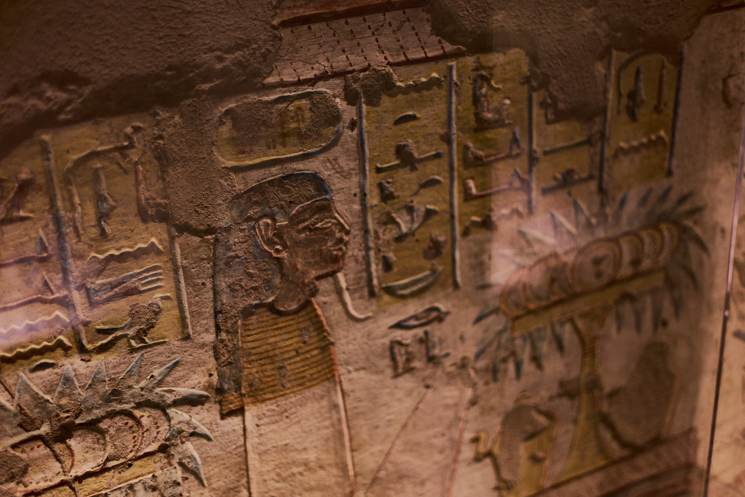 Другое 4. Jorgis — фотограф в Хургаде / обучение фотографии