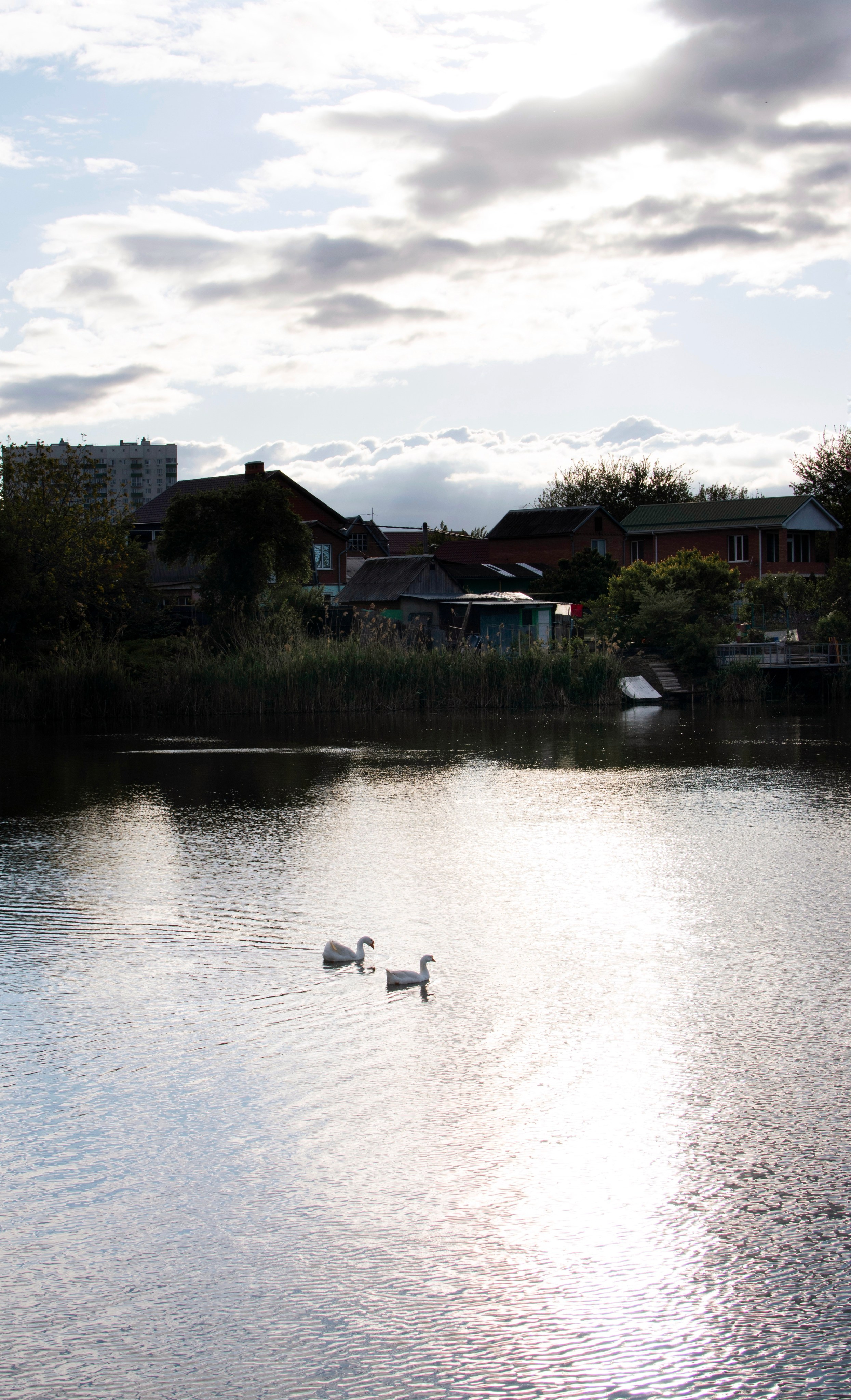Владислав и Виктория. Крыгина Ольга Фотограф Краснодар