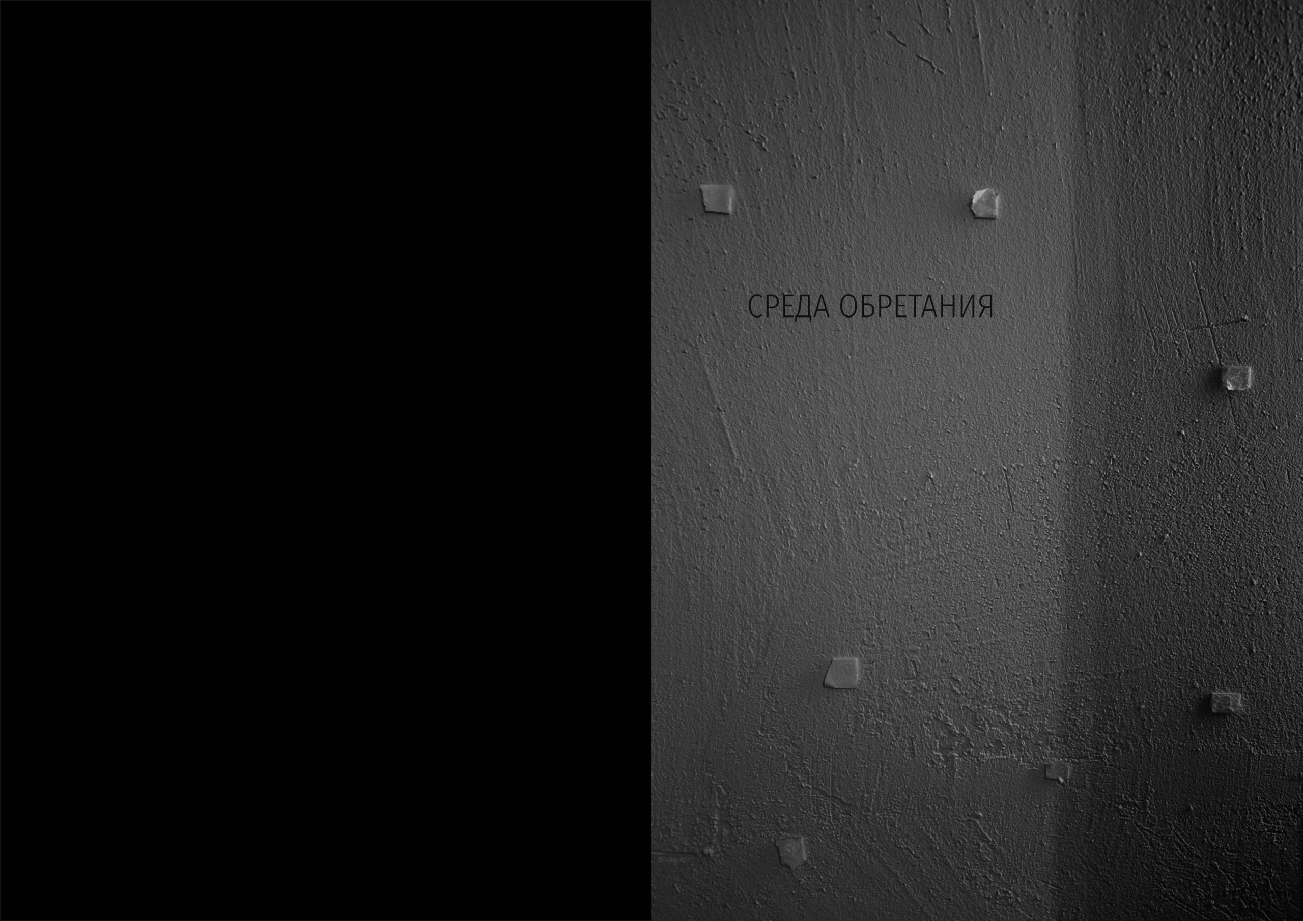 Homebitat. Rita Novoselova. Fotografie