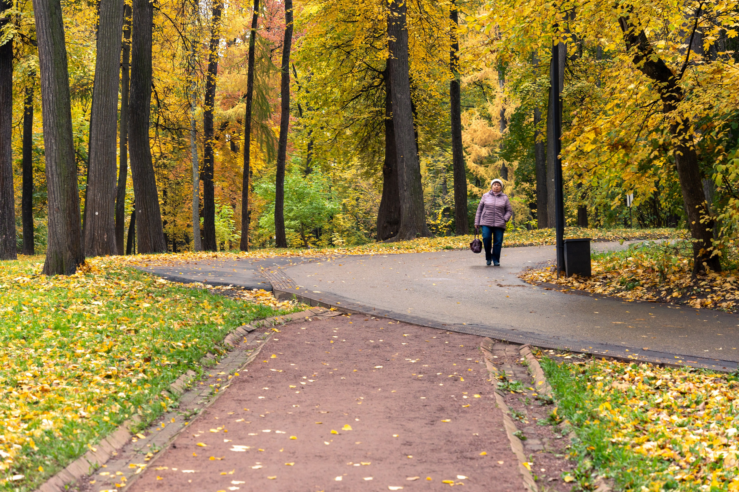 20251011 Нескучный сад. Дмитрий Ремизов. Фотография, как хобби