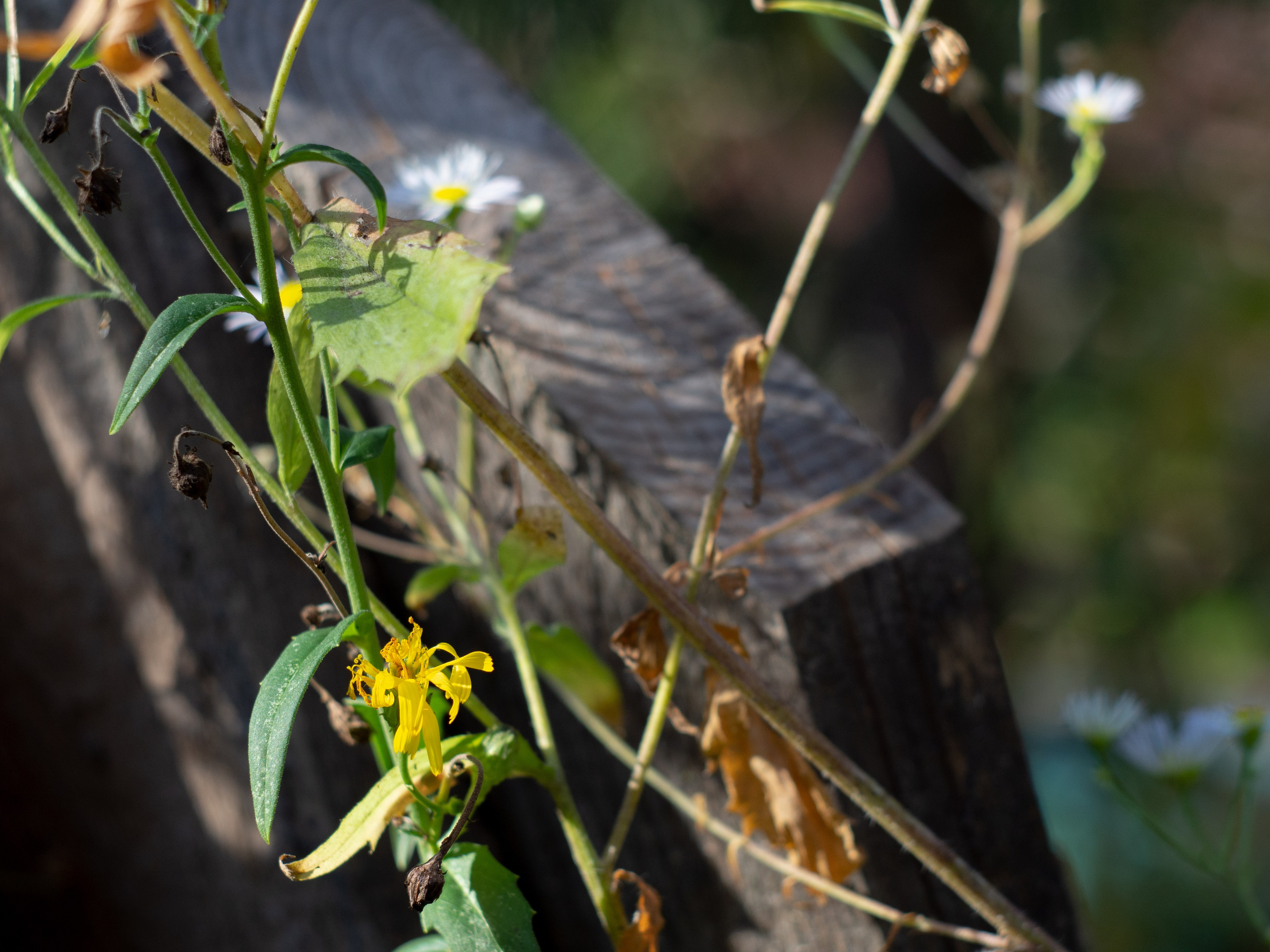 20230923-25 Родники. Дмитрий Ремизов. Фотография, как хобби