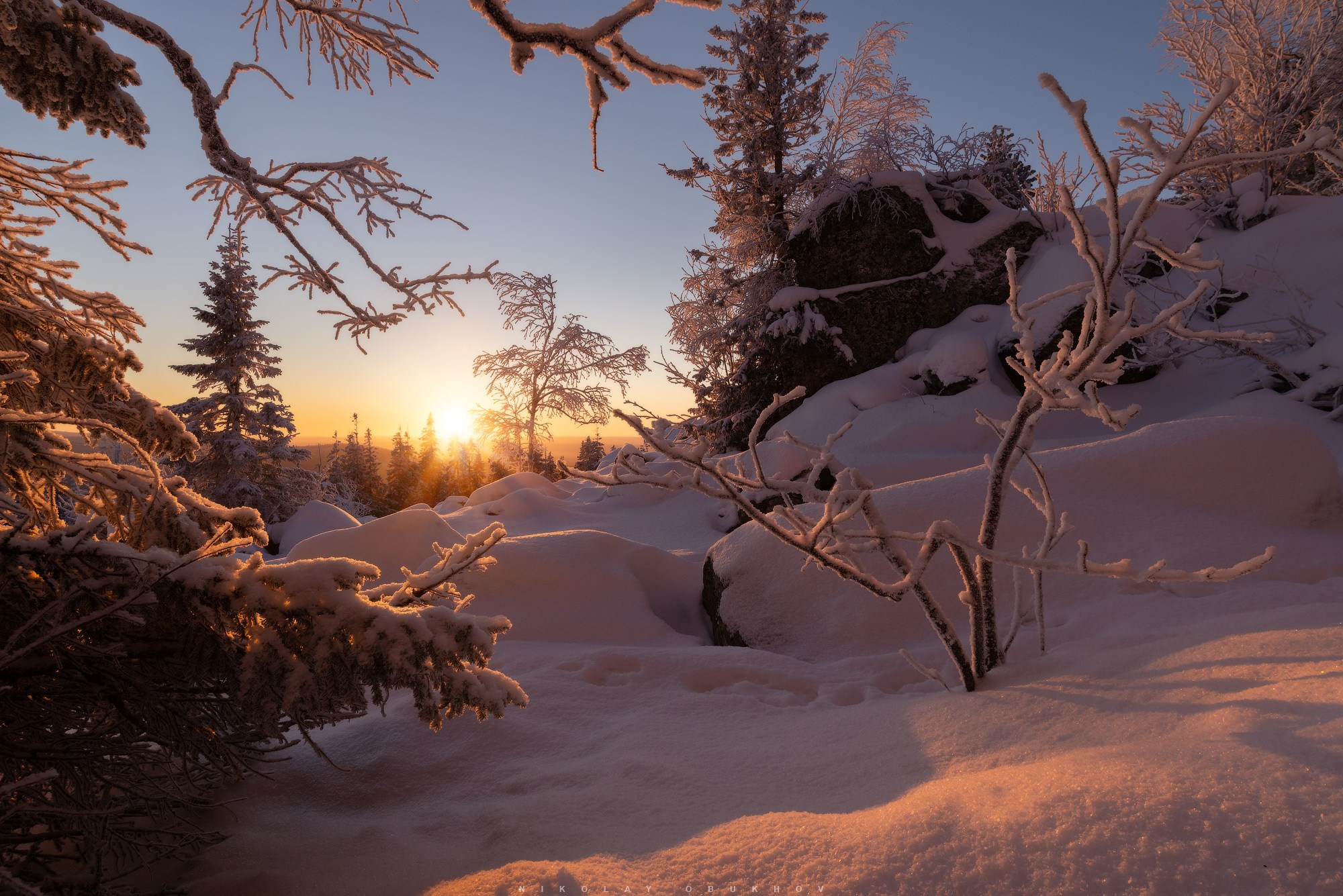 Зимний лес сугробы достигают колен, укрывая тропинки на горе Белая.  
