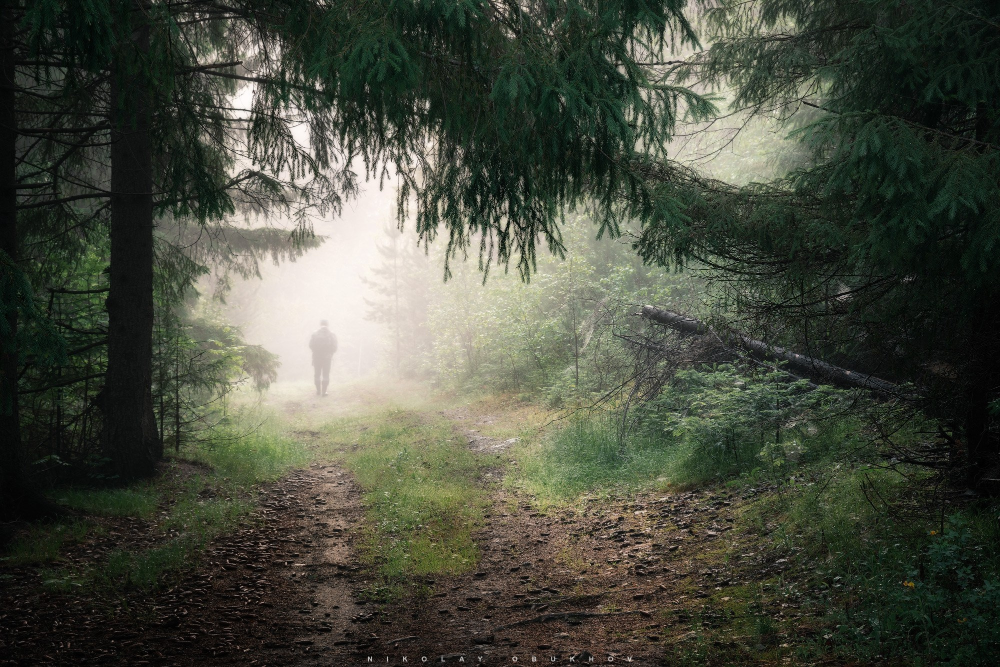 Сумерки или утро? Туман в Черноисточинске создаёт загадочную атмосферу: деревья и далёкая фигура на тропе — красивая фотография пейзажа Среднего Урала.