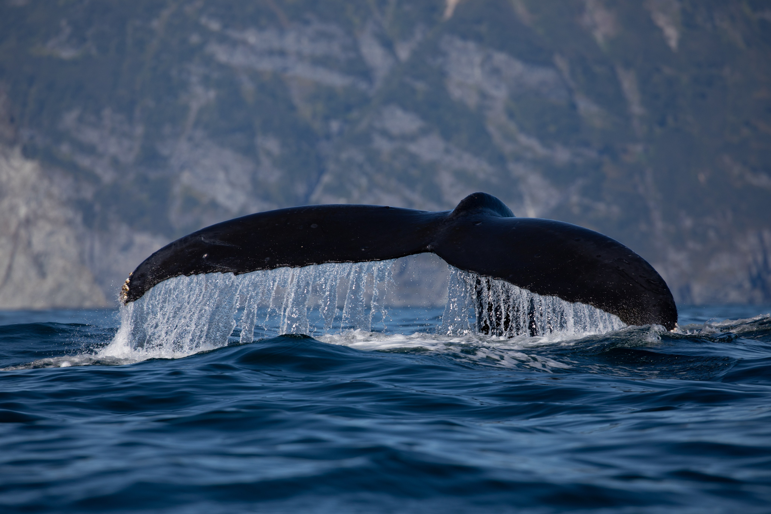 Kamchatka. Yulia Tsyganova