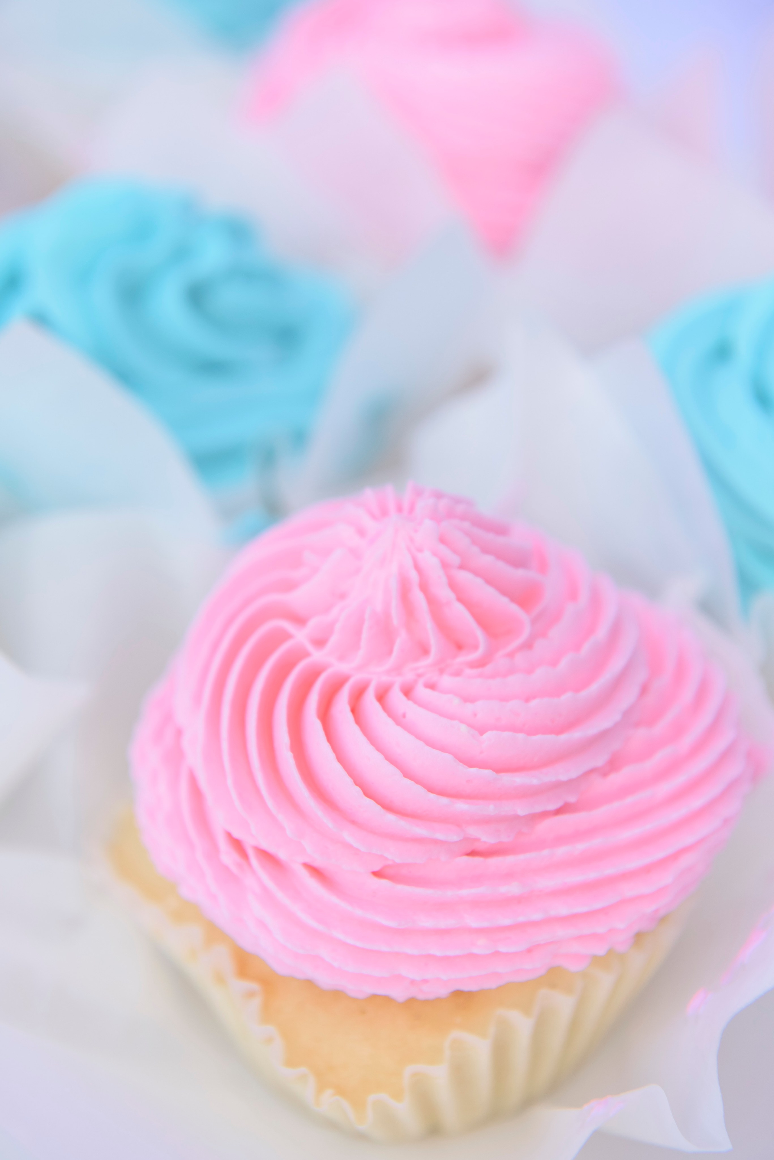 Гендер-пати. Бренд-фотограф для экспертов и блогеров в Москве Влада Горбовская