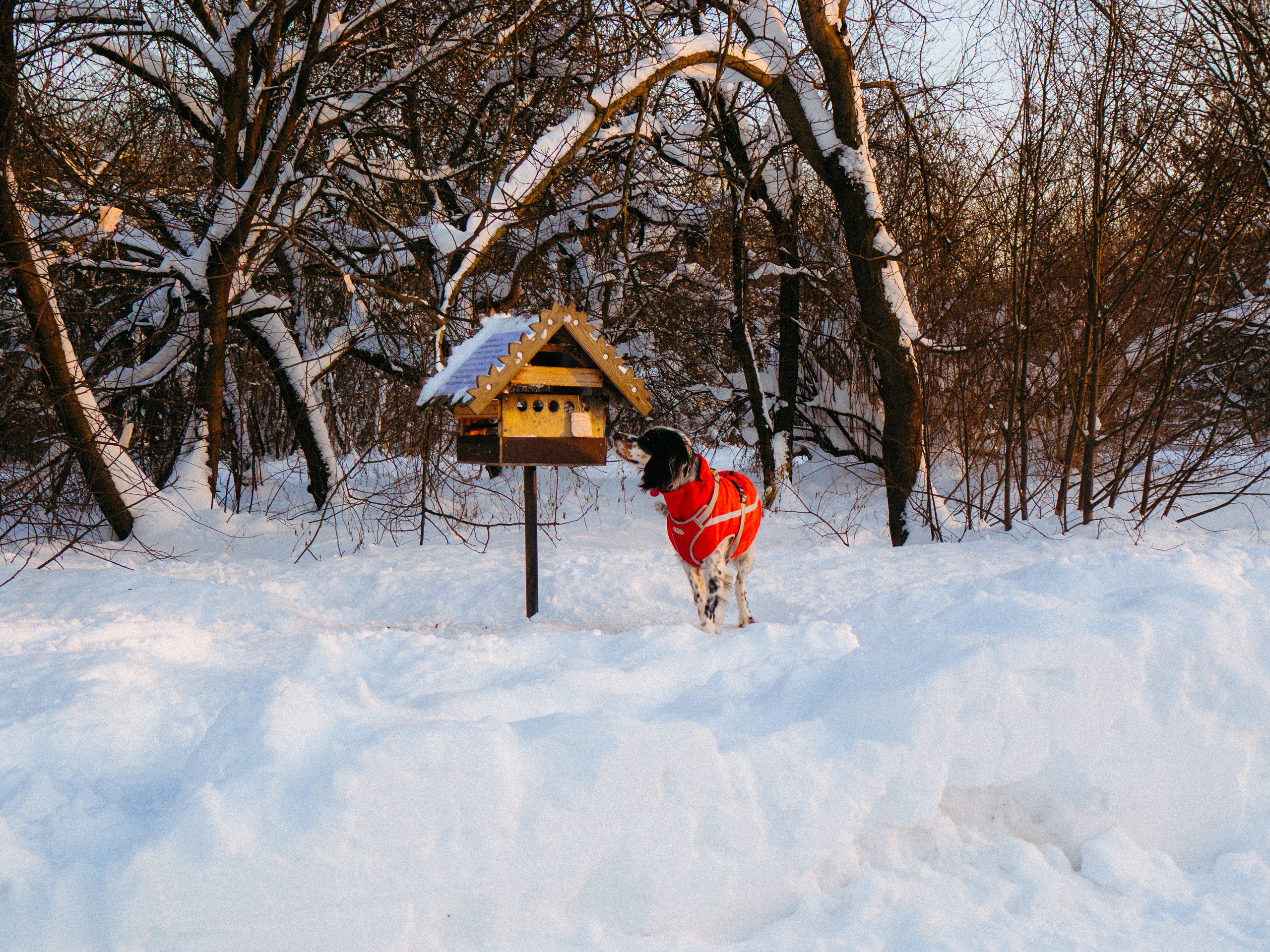 День рождения. Фёдор Малюгин. Ваш бади в визуале