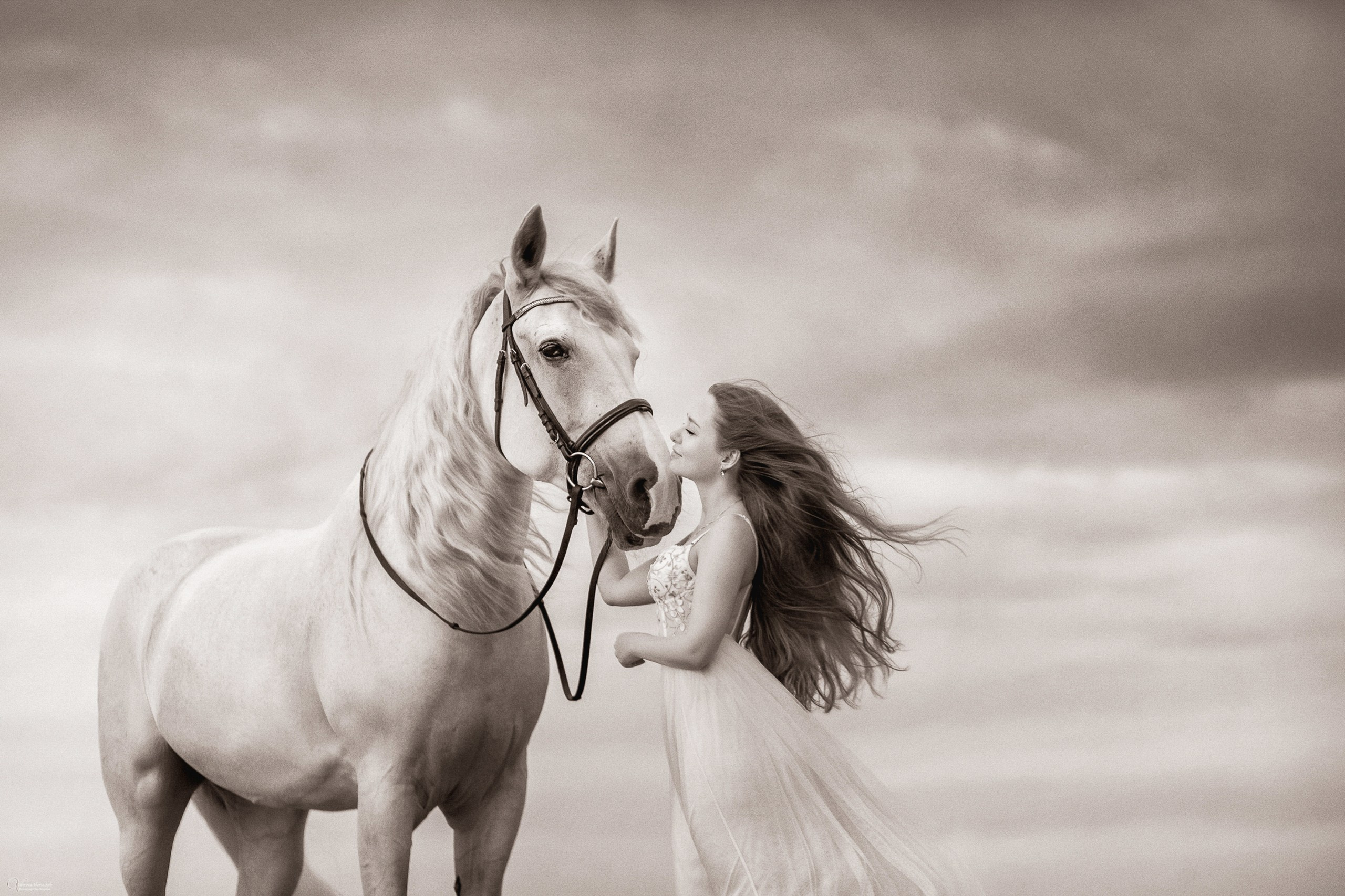 Фотосессии с лошадьми летом. Фотограф женский и мужской портрет Санкт-Петербург