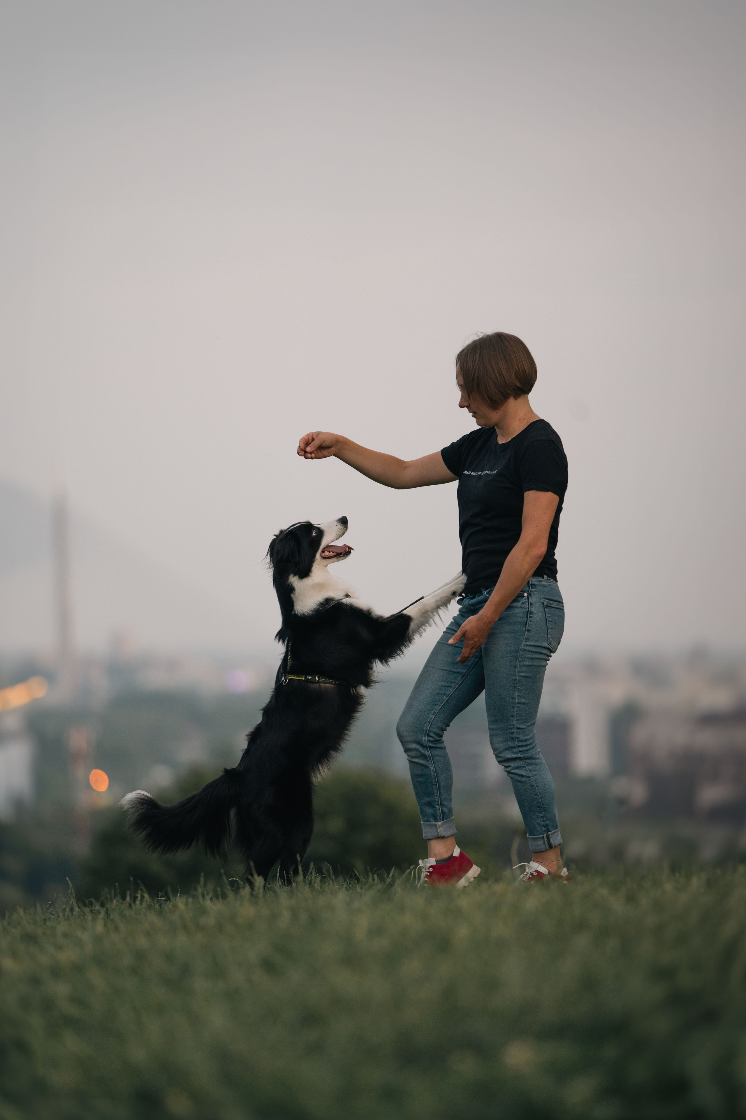 Белград, Калемегдан. Таня и Шегги. Фотограф анималист