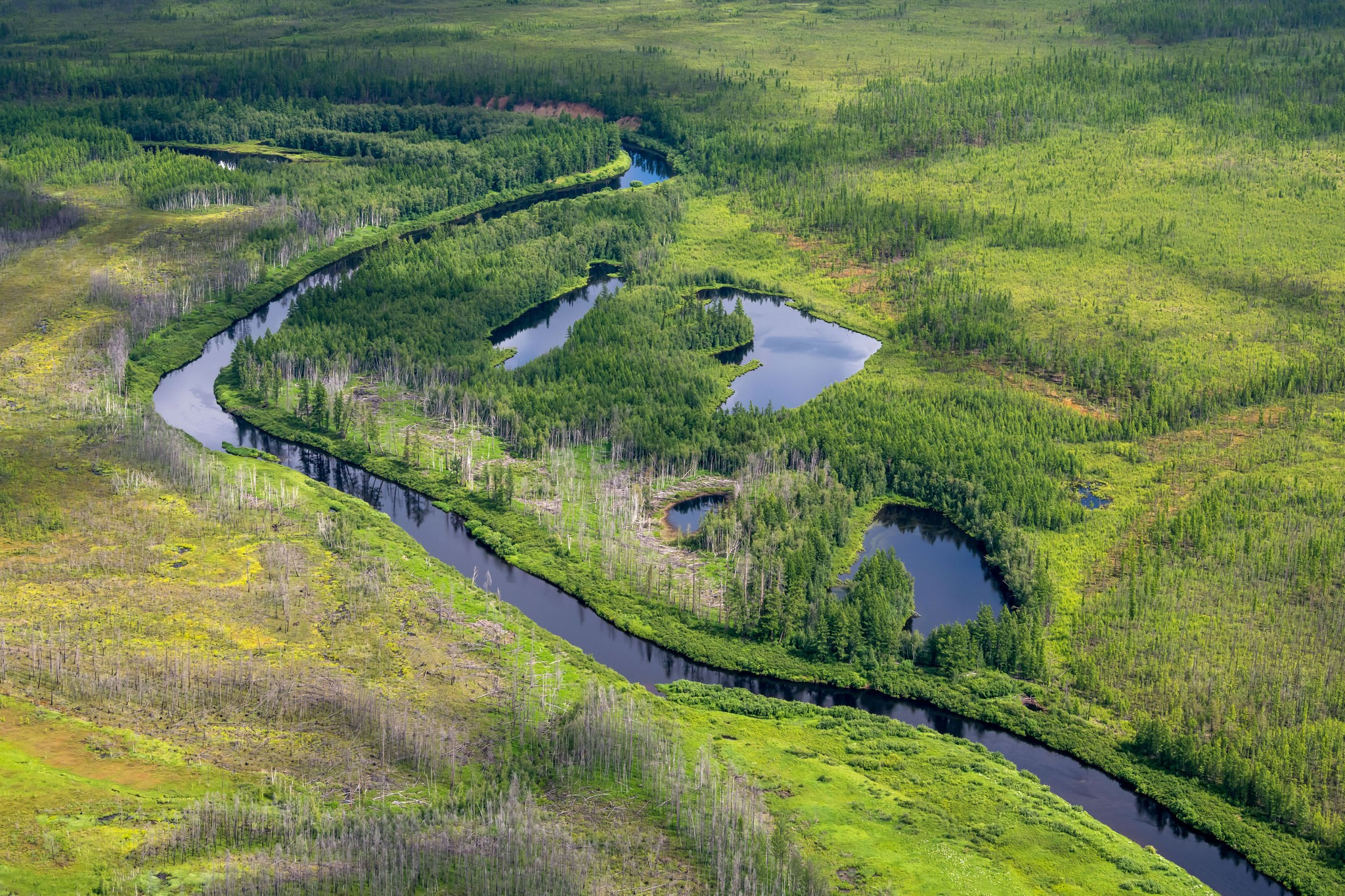 Пейзажный фотограф, Фотографии дикой природы. Foto-Zuev фотография как искусство