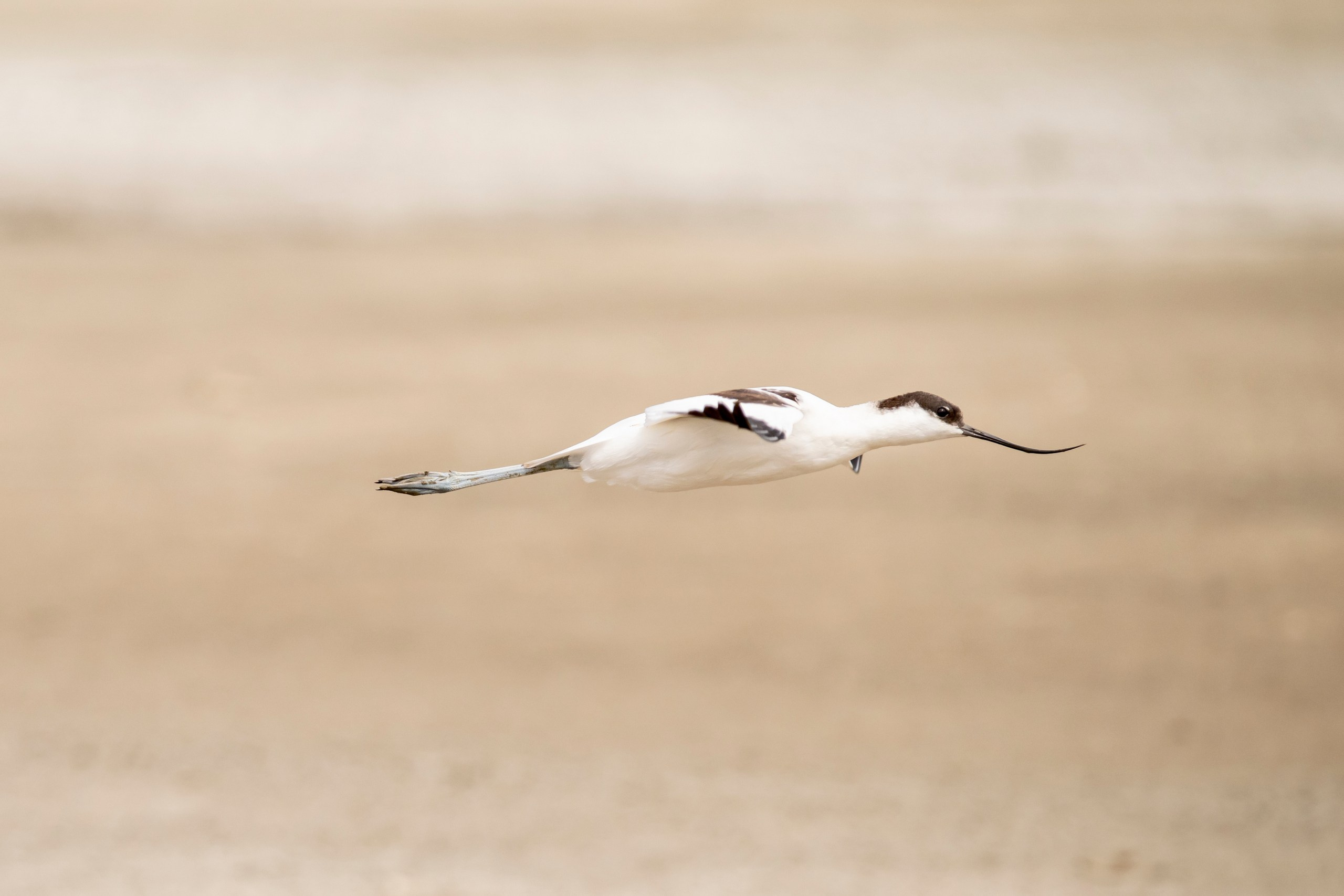 Природа Дагестана, сентябрь 2024. Foto-Zuev фотография как искусство