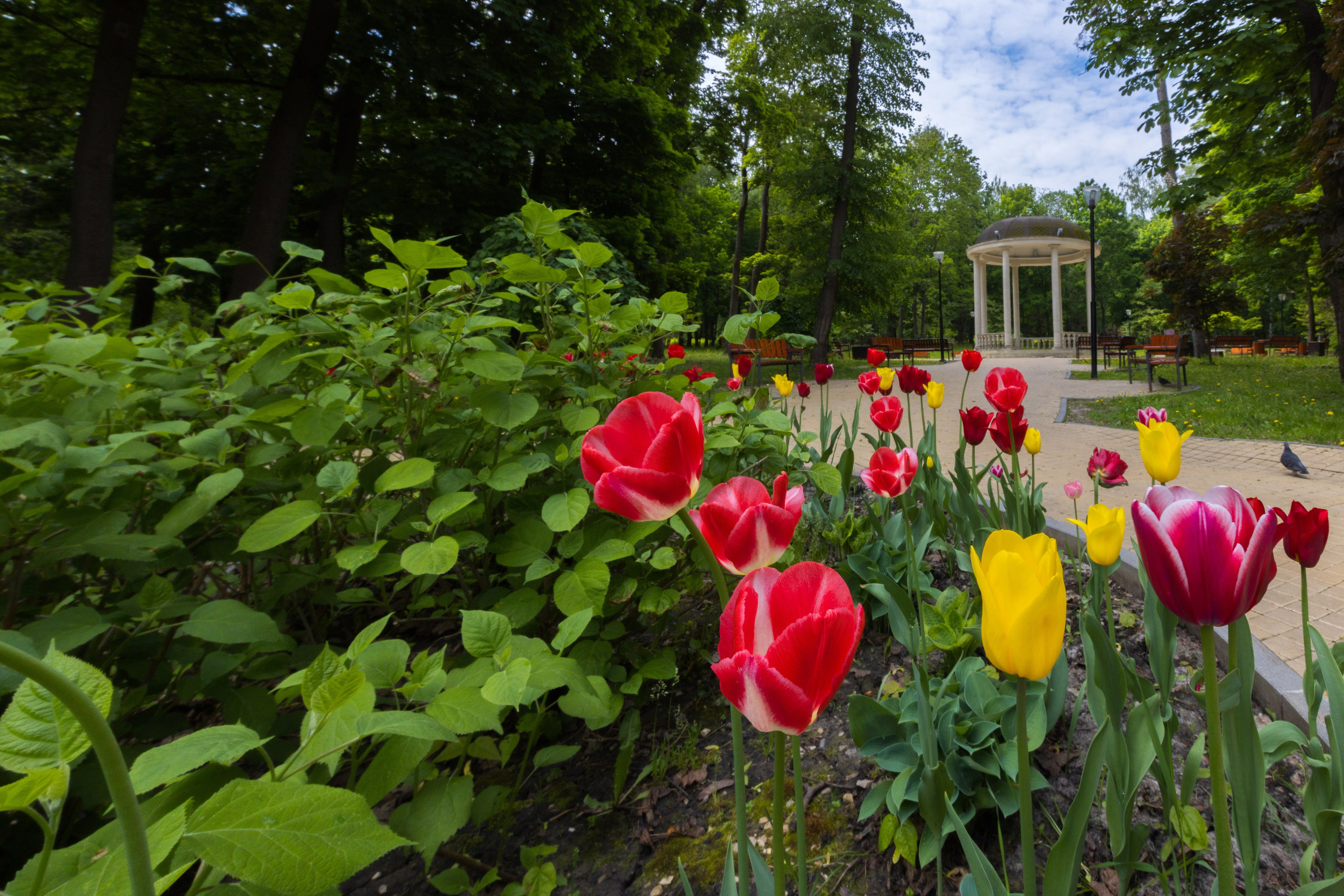 Парк им. П. П. Белоусова г. Тула 2024 г. Фотограф в Туле Крупский АнДРей. Фотостудия «КАДР71» в Туле