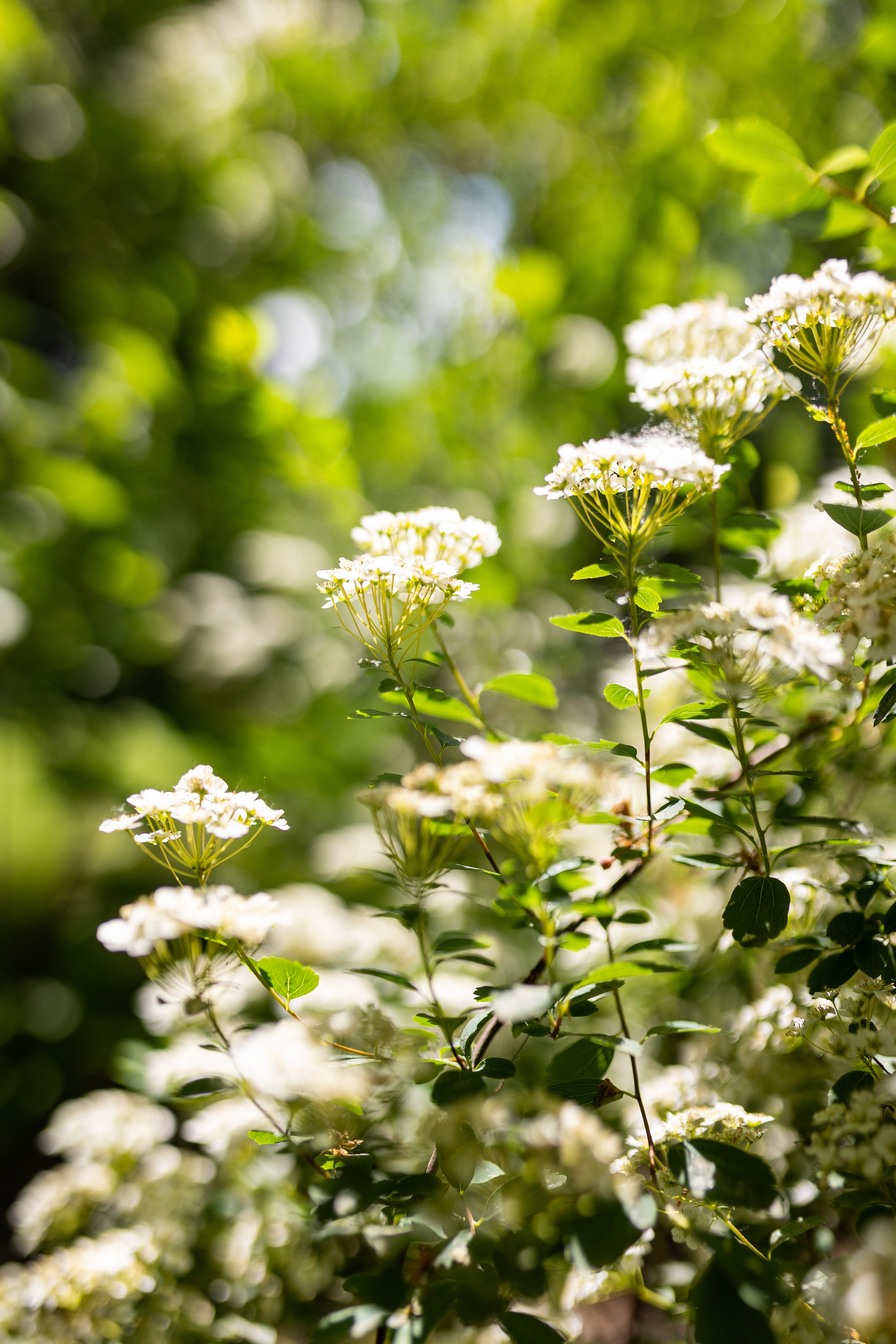 Мастер-класс от Аминосил. Александра Куликова фотограф, Москва