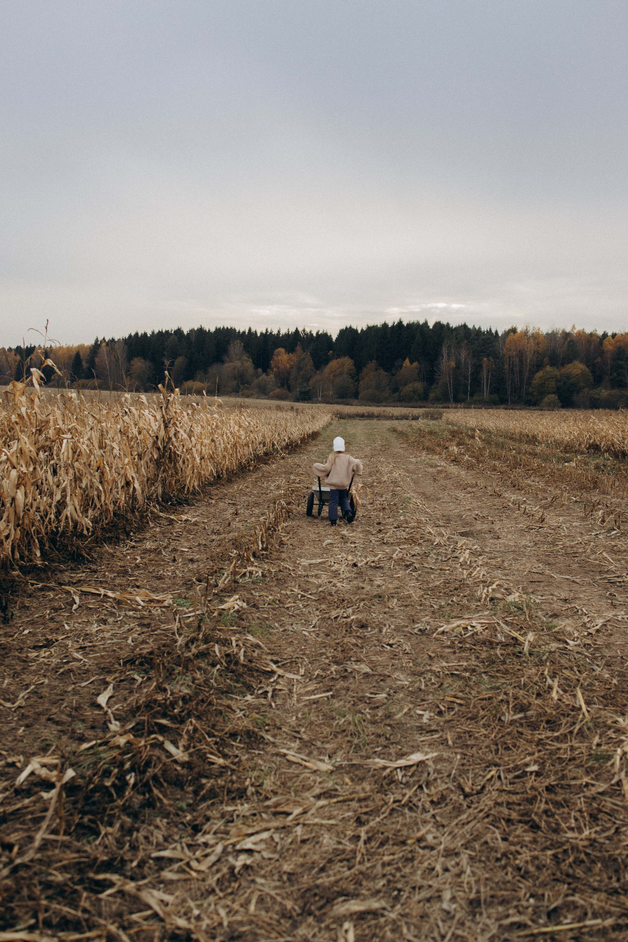 Оля, Ксюша и кукуруза. Фотограф Елена Рябцева