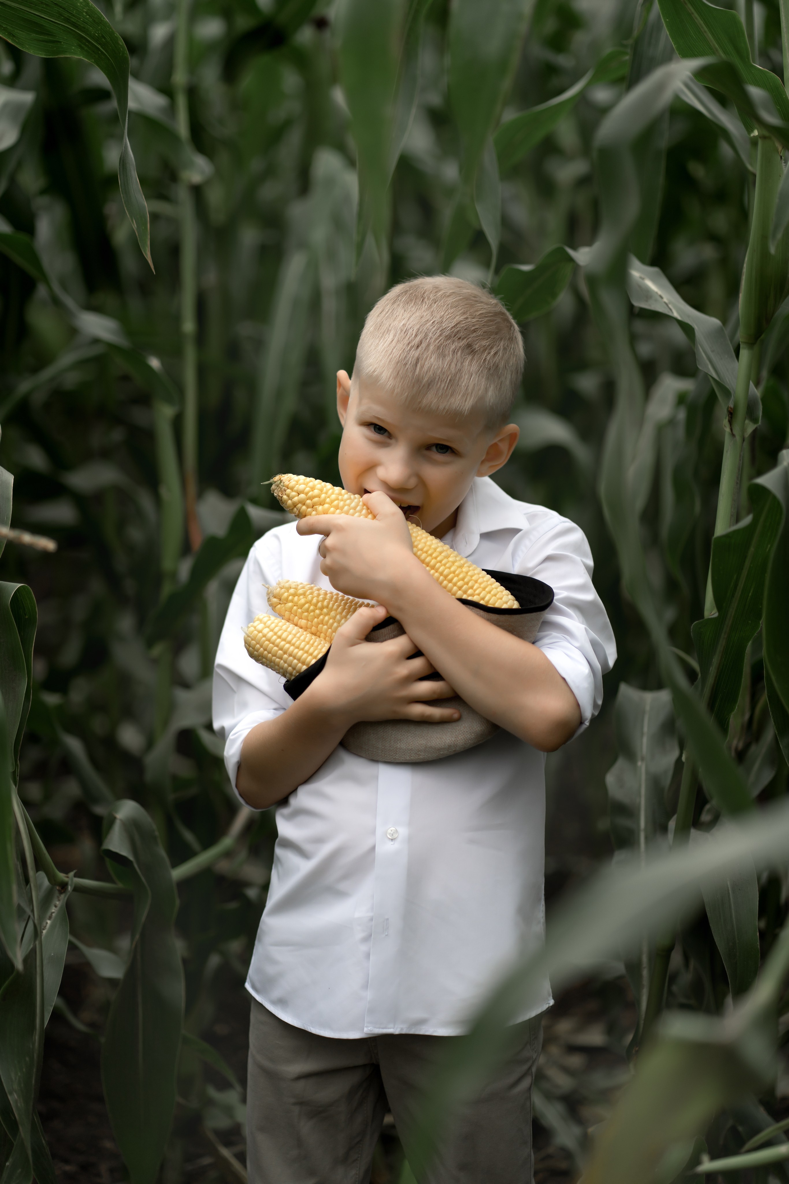 Прогулка в кукурузе. Фотограф в Красноярске. Юлия Чаушанская