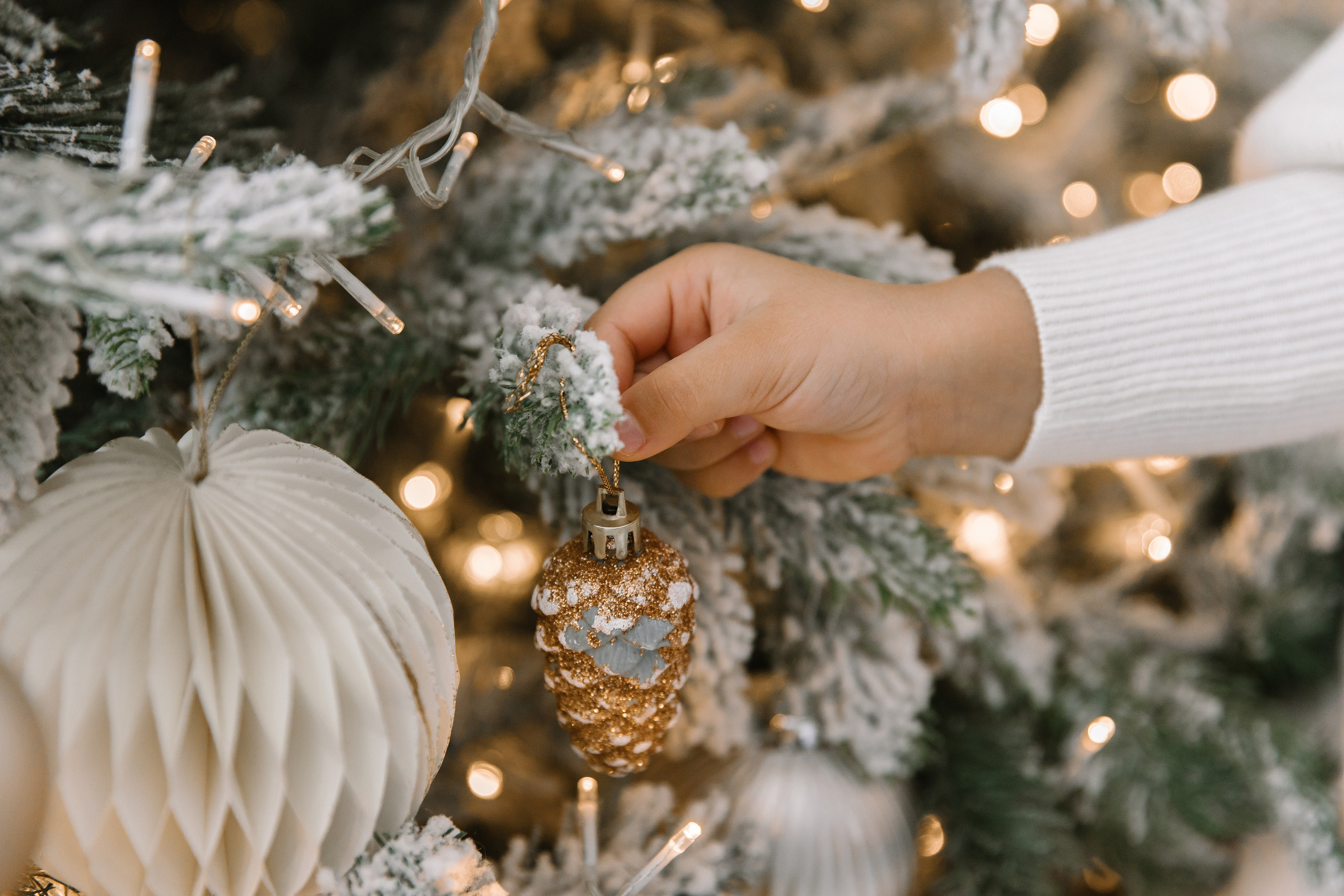 Новый год вчетвером. Фотограф Елена Краснопевцева