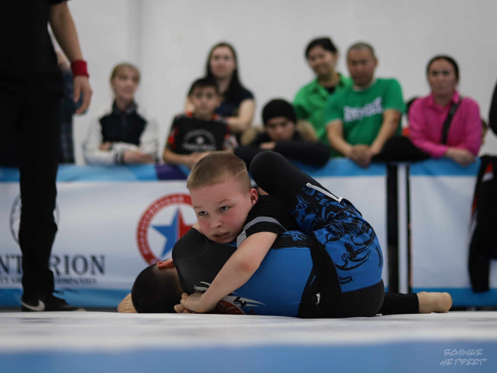 GORILLA PRIDE CUP. Больше не греет