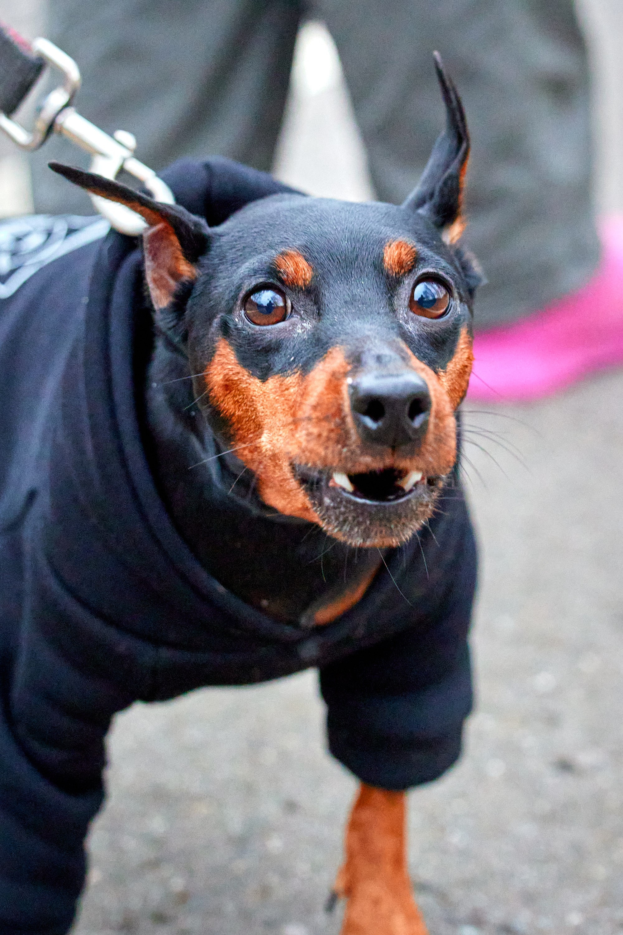 S95 Кусково. Спортивный и репортажный фотограф Андрей Баскаков