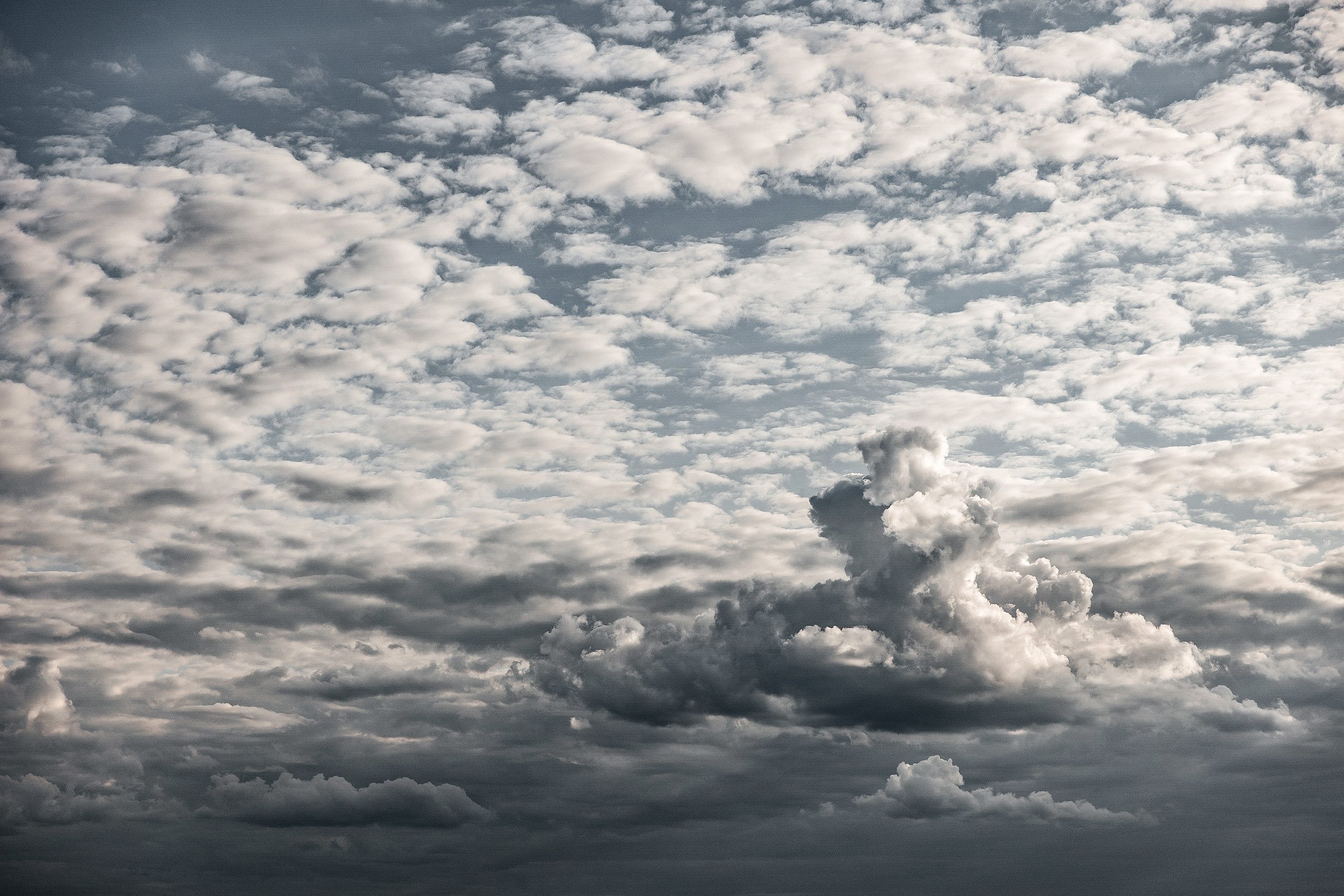 ABOVE THE SKY. Свадебный фотограф в Ульяновске Владимир Лесников