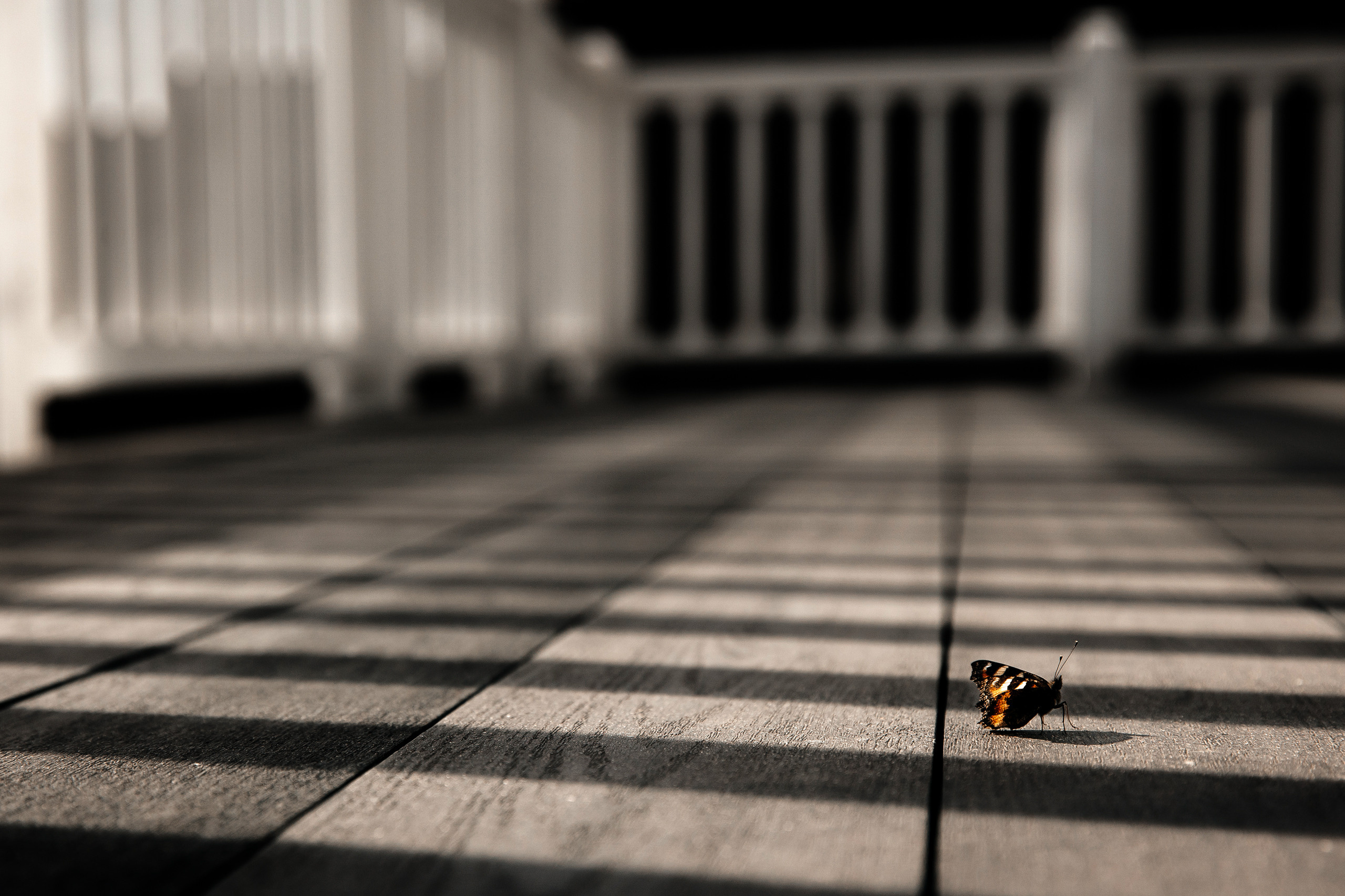 ABOVE THE SKY. Свадебный фотограф в Ульяновске Владимир Лесников