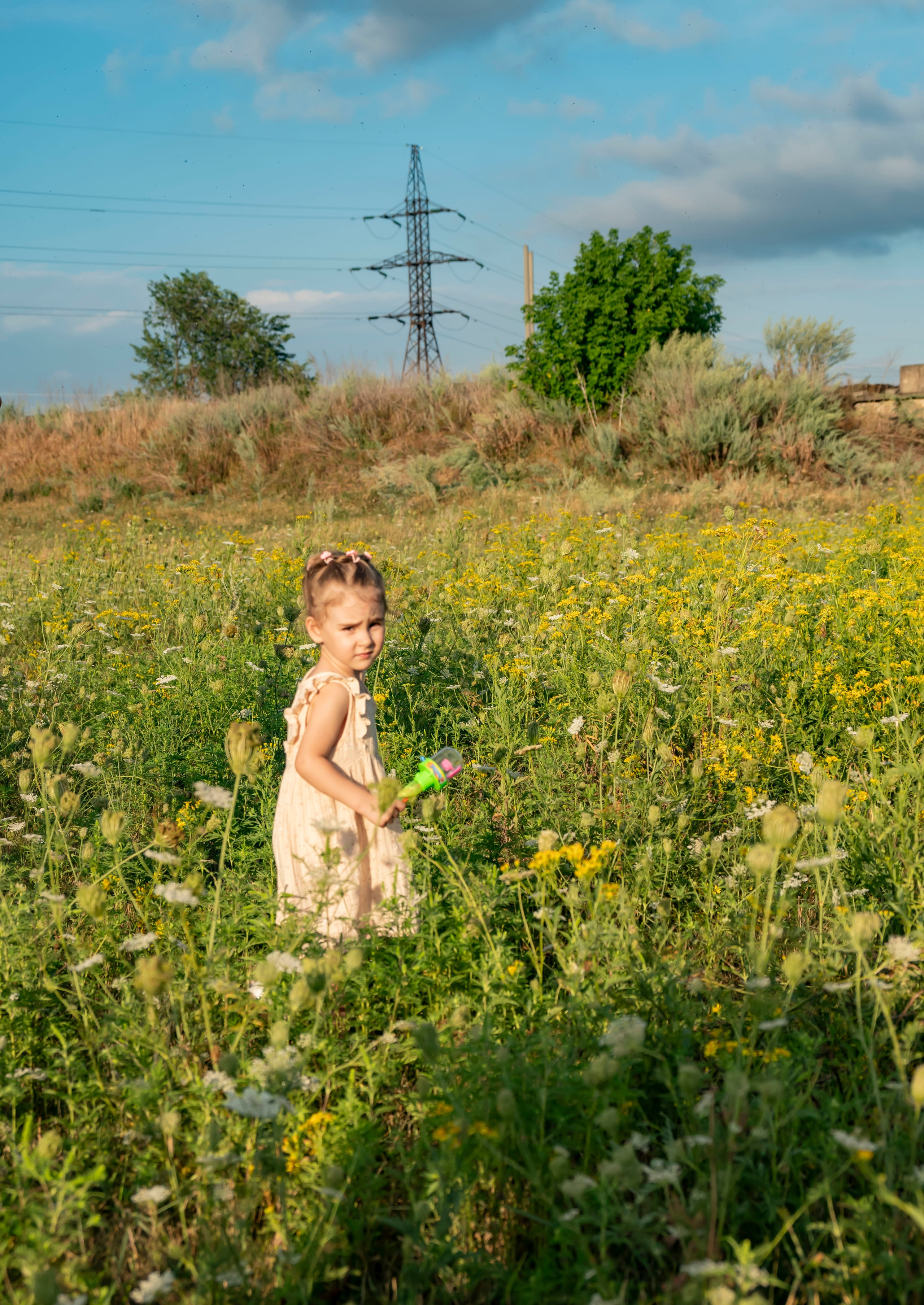 Летняя прогулка. Главная