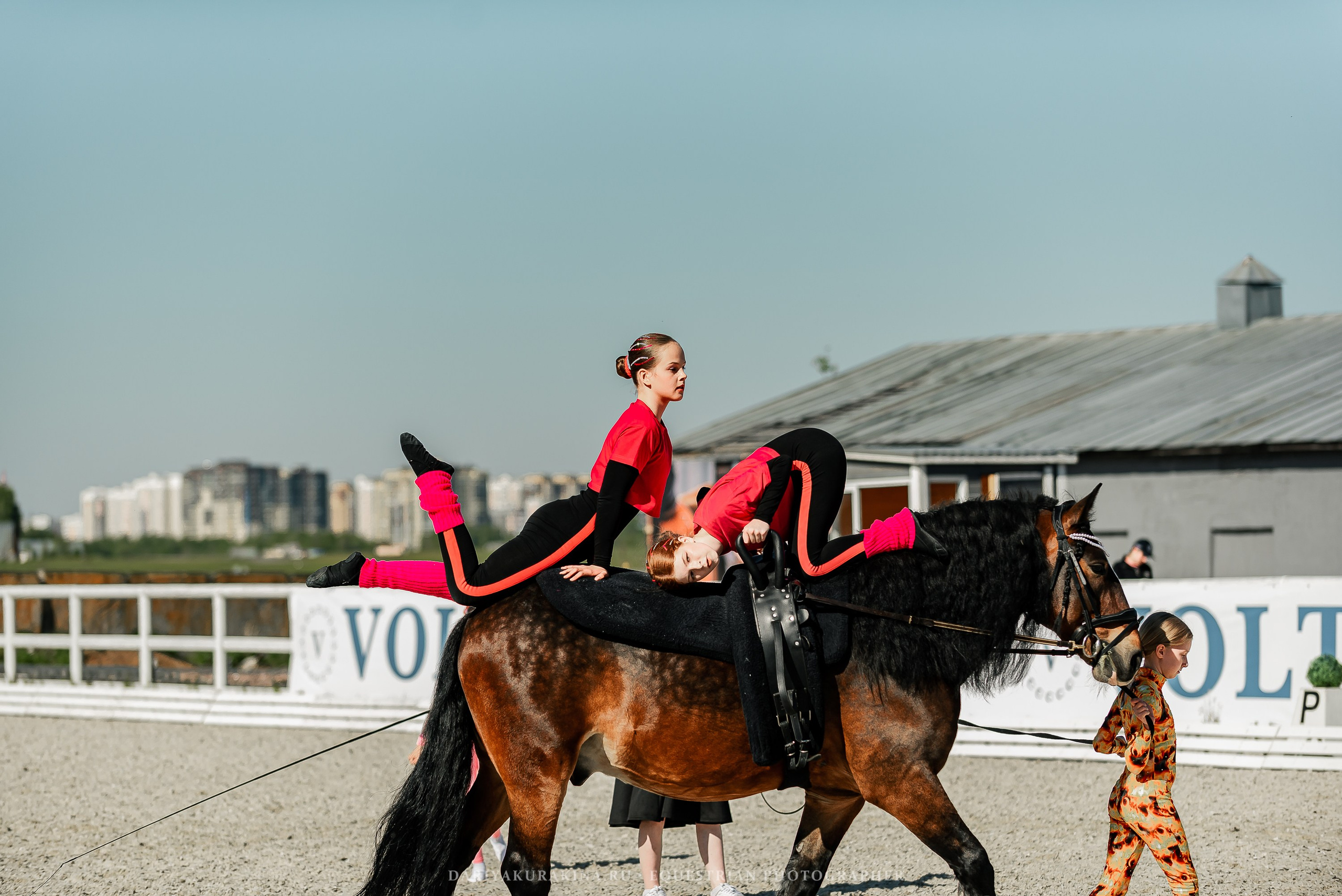 РЕПОРТАЖ МКК ВОЛЬТ «LA TULIPS». Конный фотограф Куракина Дарья • Фотосессии с лошадьми