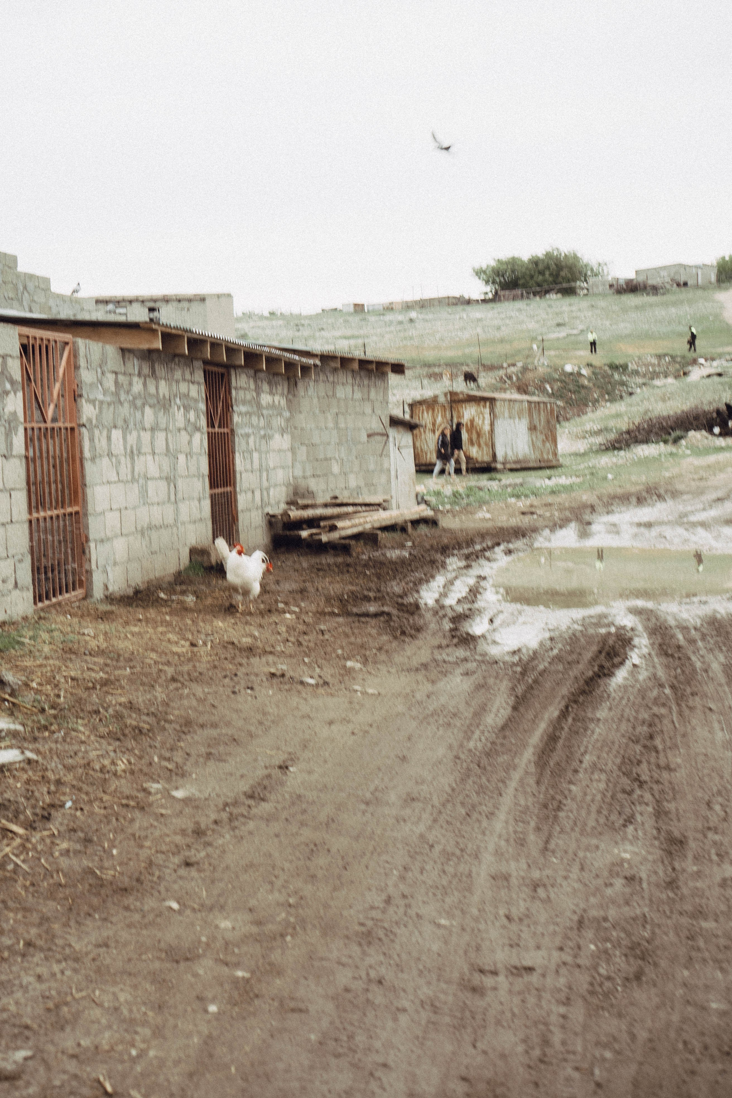 Кавказ. Профессиональный фотограф, Санкт-Петербург — Виктория Богомолова
