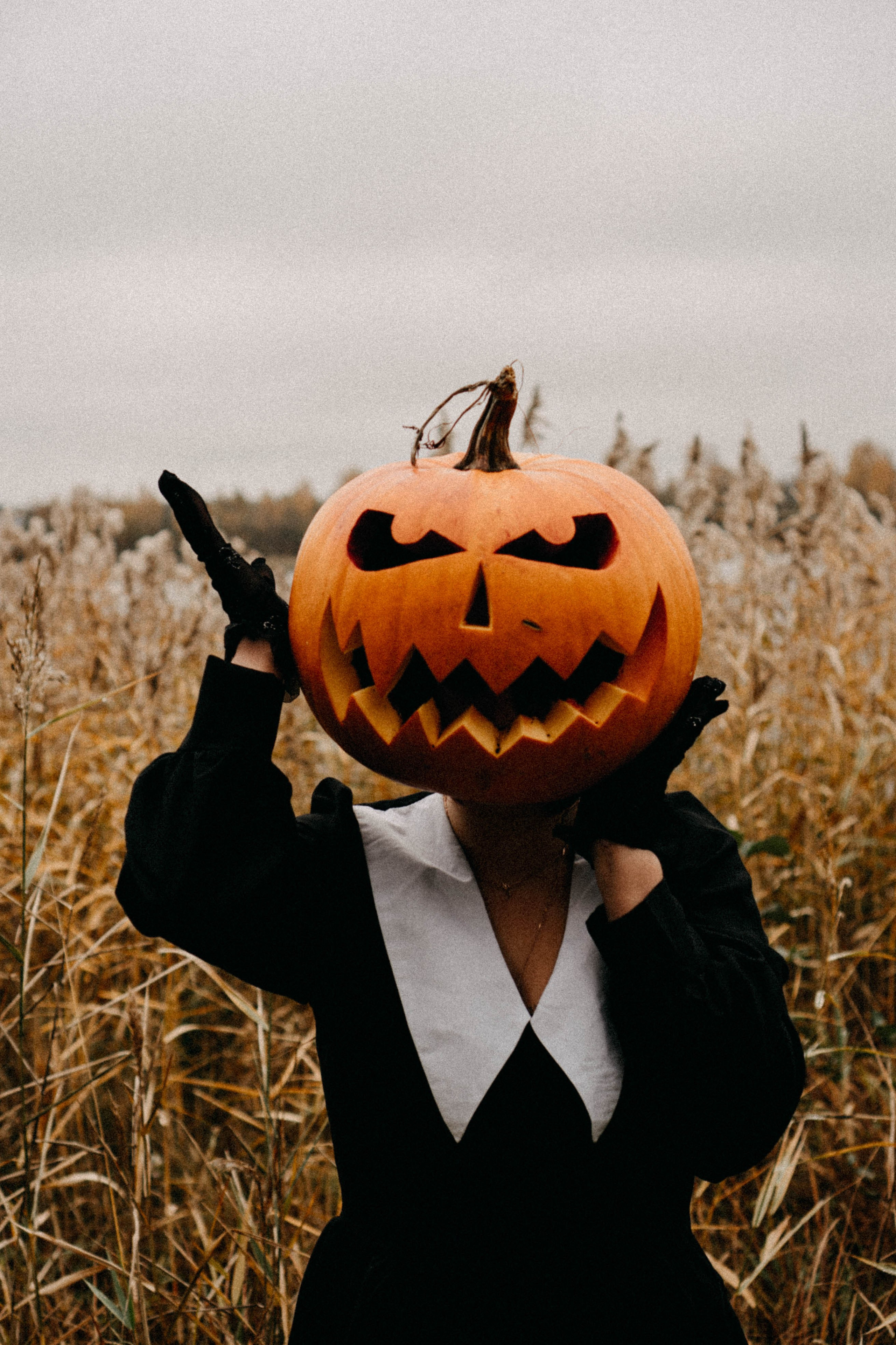 Осеняя. Профессиональный фотограф, Санкт-Петербург — Виктория Богомолова