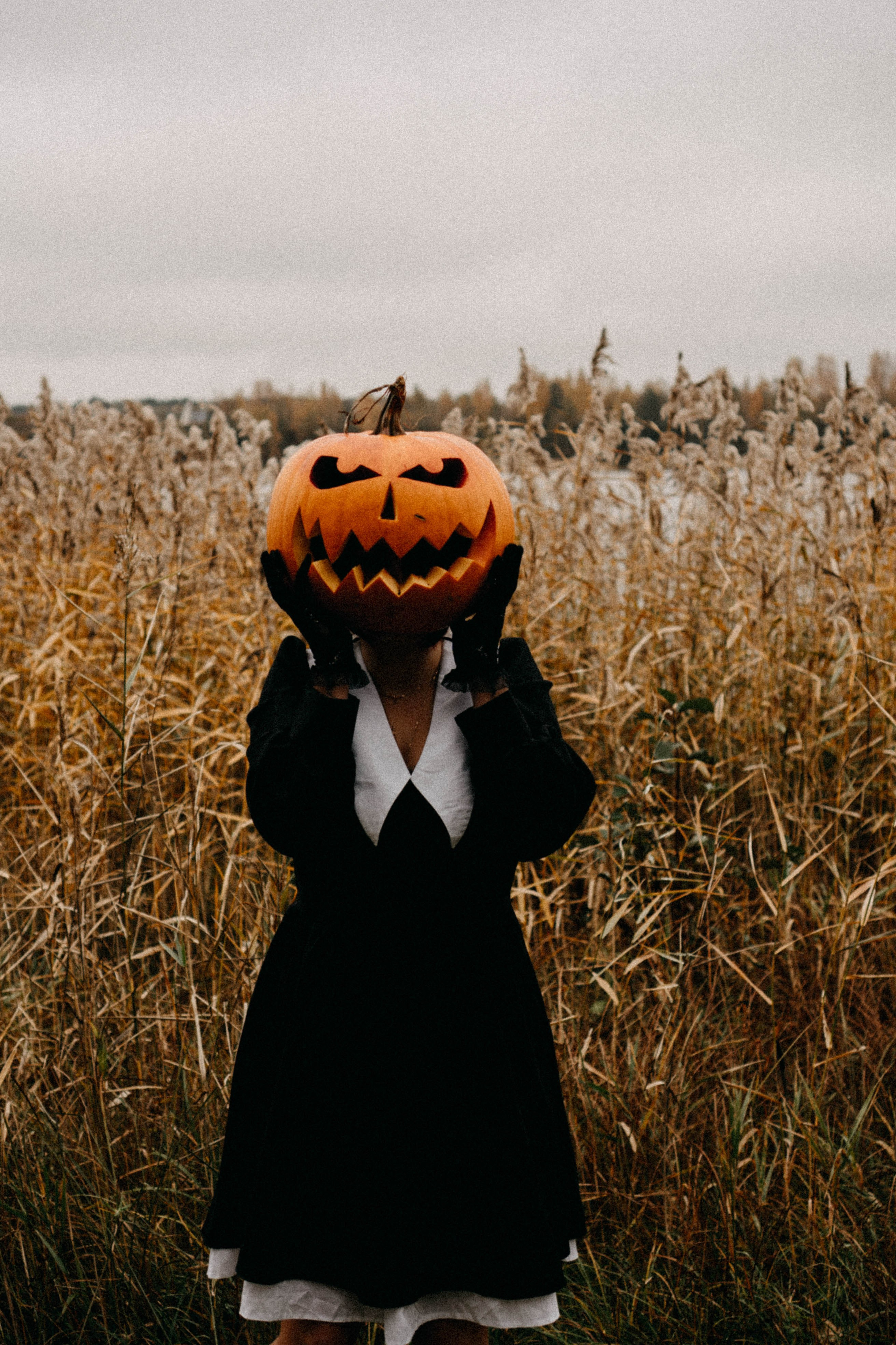 Осеняя. Профессиональный фотограф, Санкт-Петербург — Виктория Богомолова