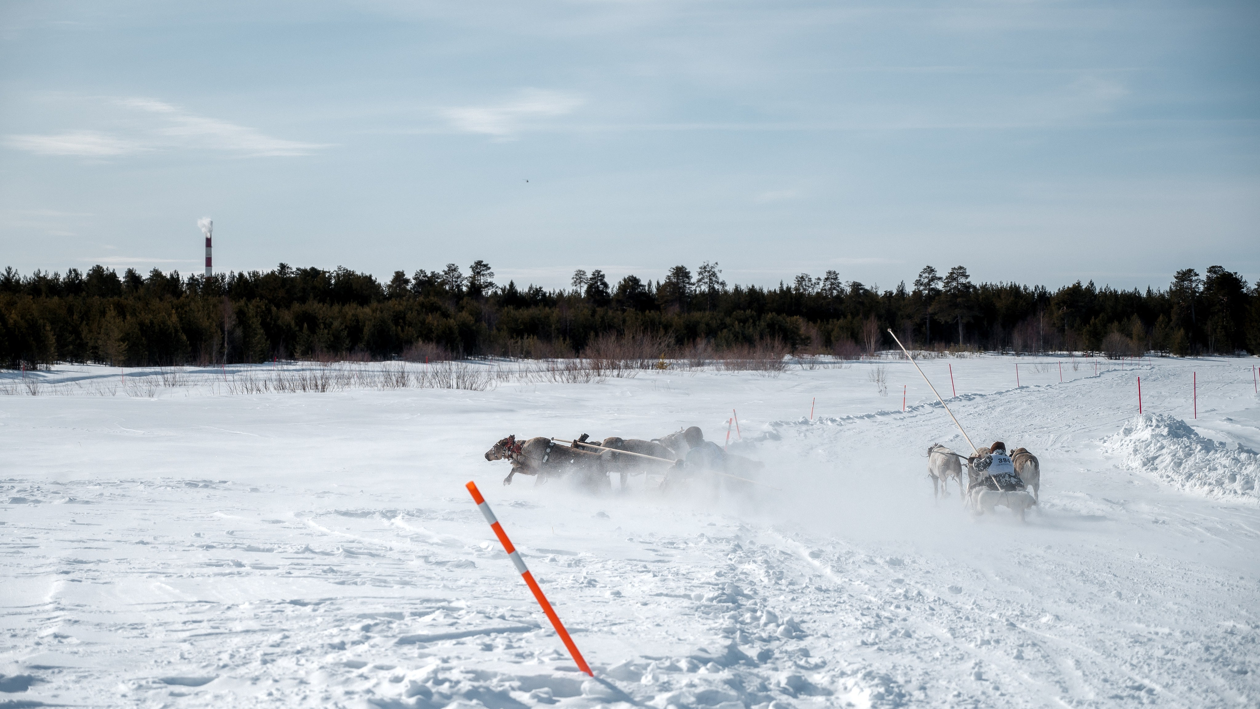 День оленевода г. Когалым. Фотограф Нижний Новгород