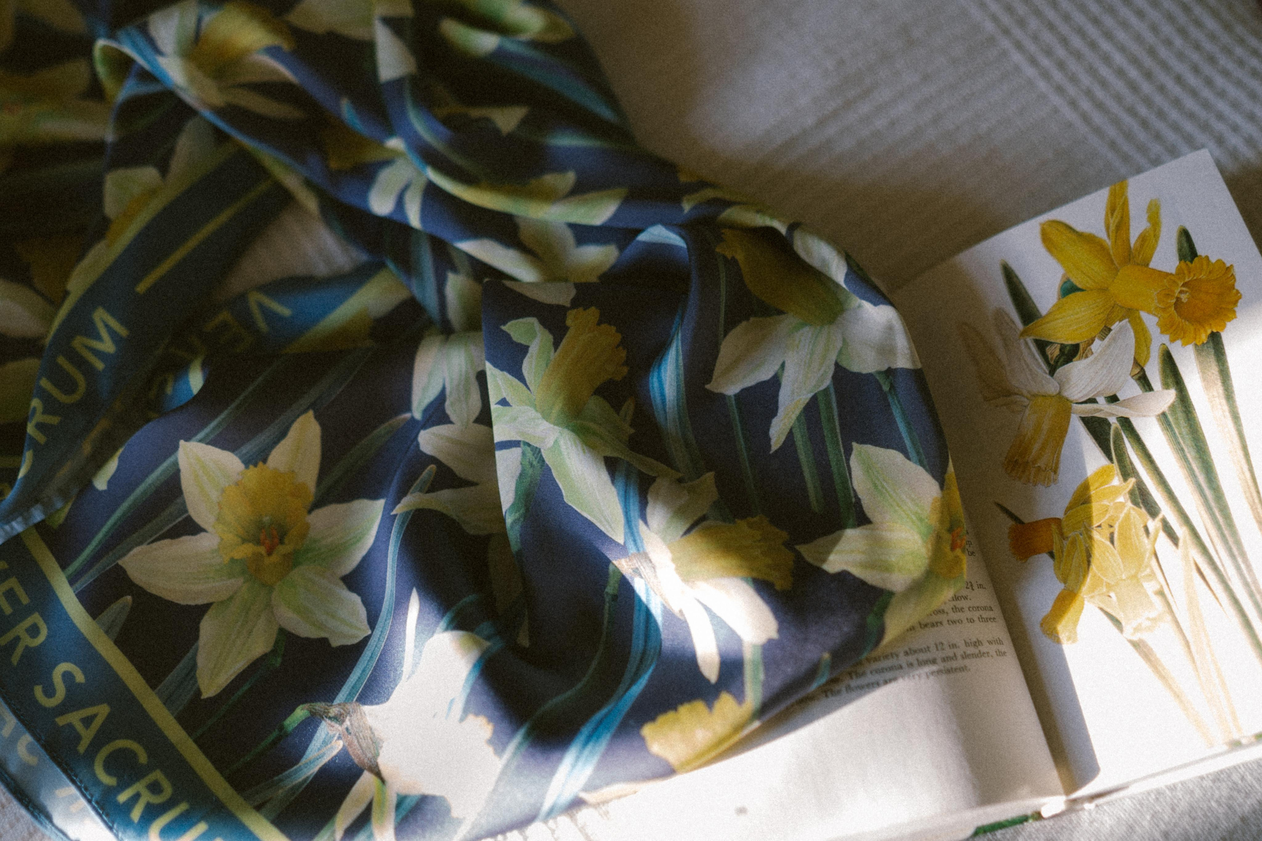 Для бренда Tenka Blichok. Фотограф в Санкт-Петербурге Батурина Елена