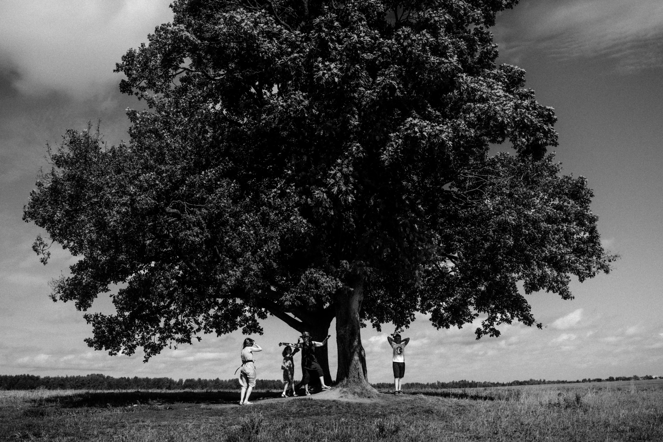 Юлия, Лев и Любовь. Фотограф в Санкт-Петербурге Батурина Елена
