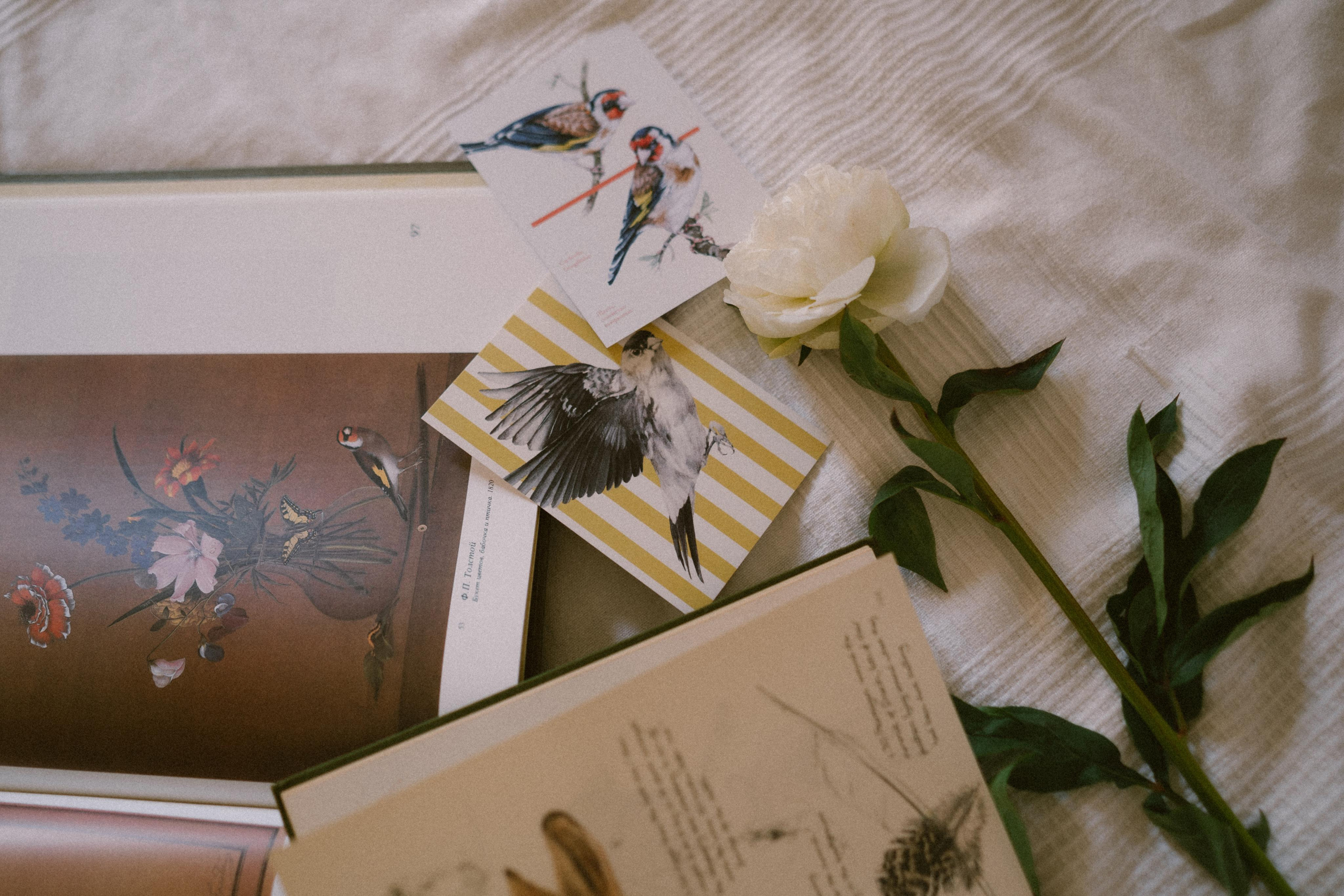 Для бренда Tenka Blichok. Фотограф в Санкт-Петербурге Батурина Елена