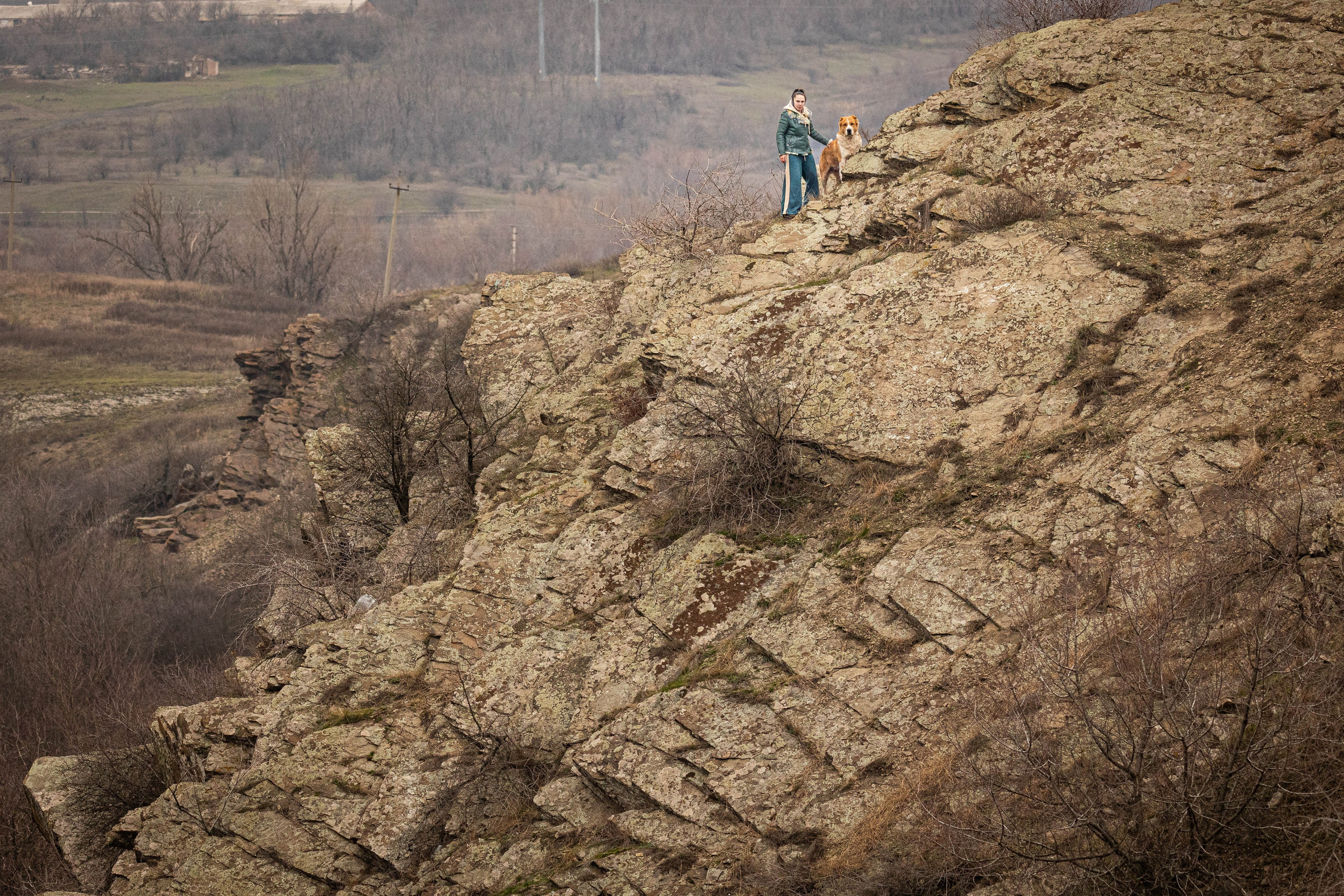 Пальма. Фотограф-АниМалист Анна Абрамова