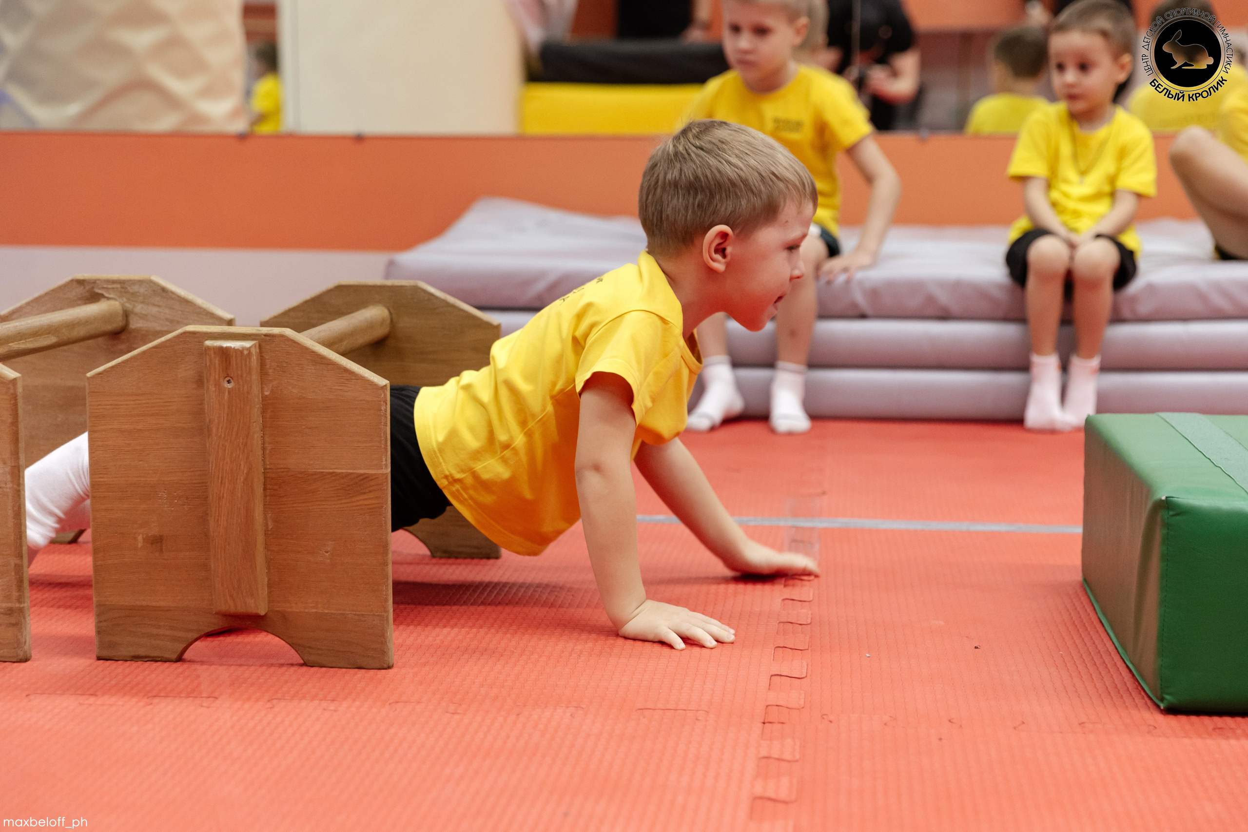 Белый кролик. Соревнования. Семейный фотограф — Макс Белогрудов