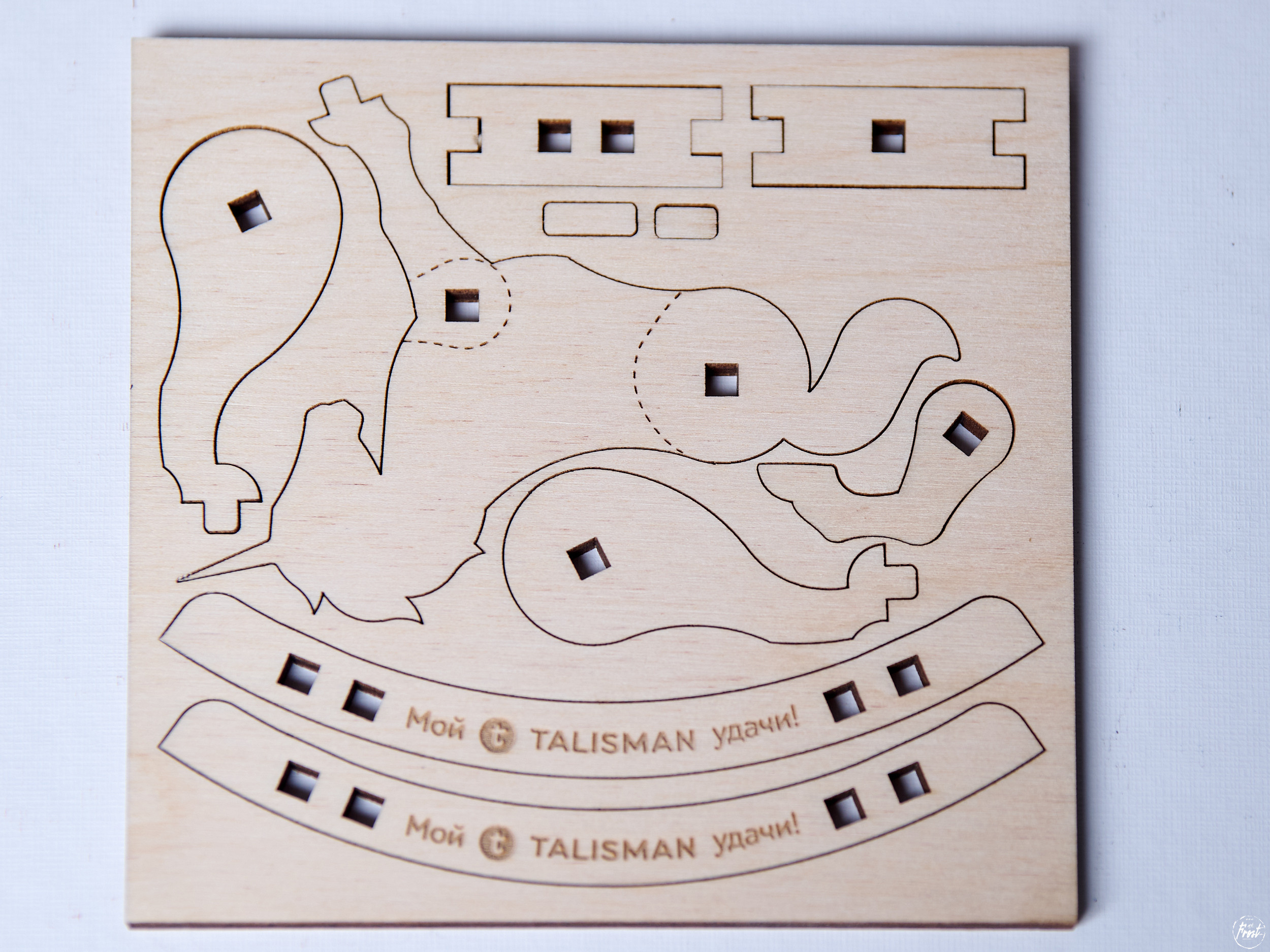 Сотрудники языковой школы «Талисман». Фотографии отовсюду и обо всем